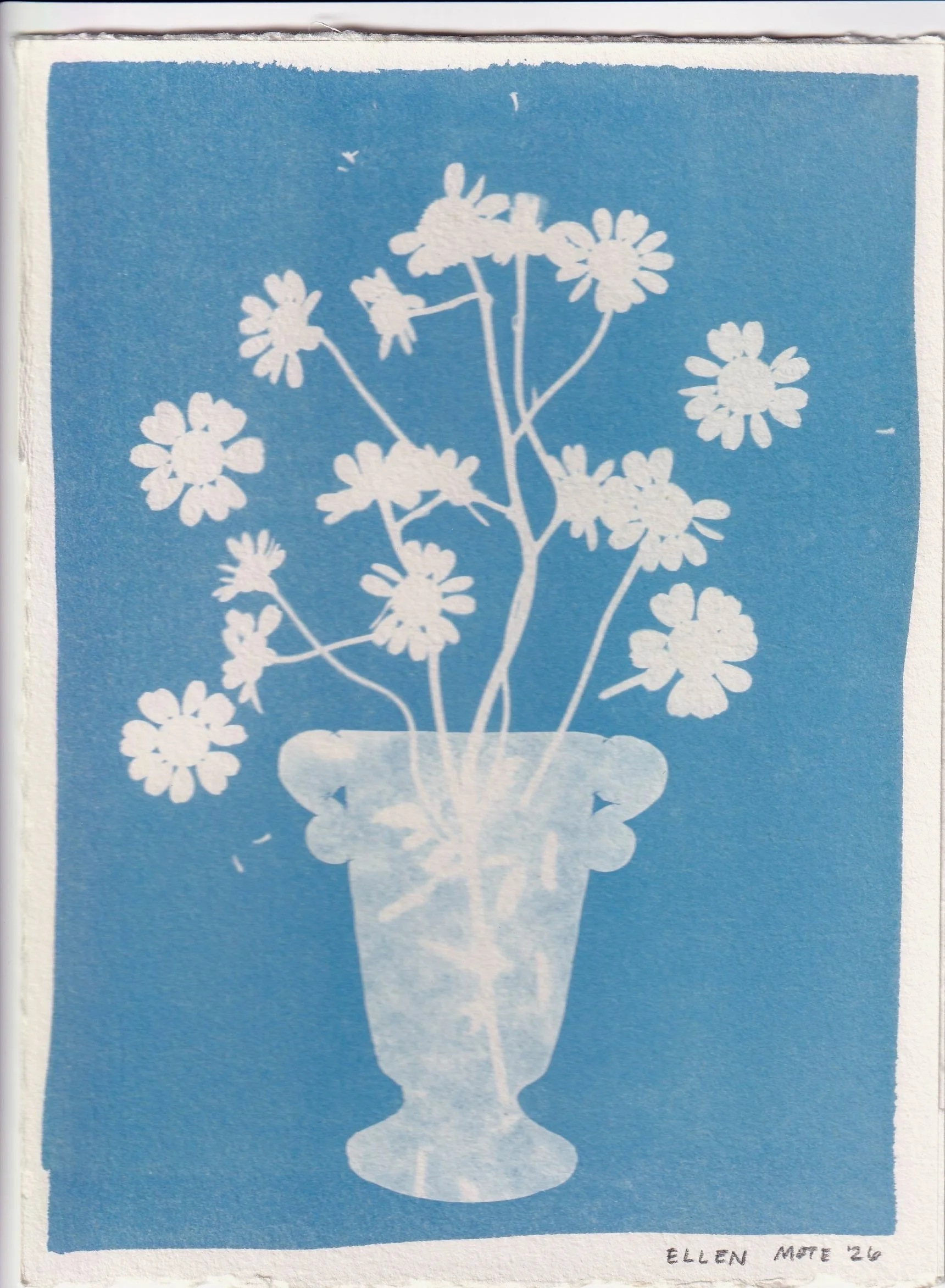 Mini SUPERBLOOM Cyanotype 6