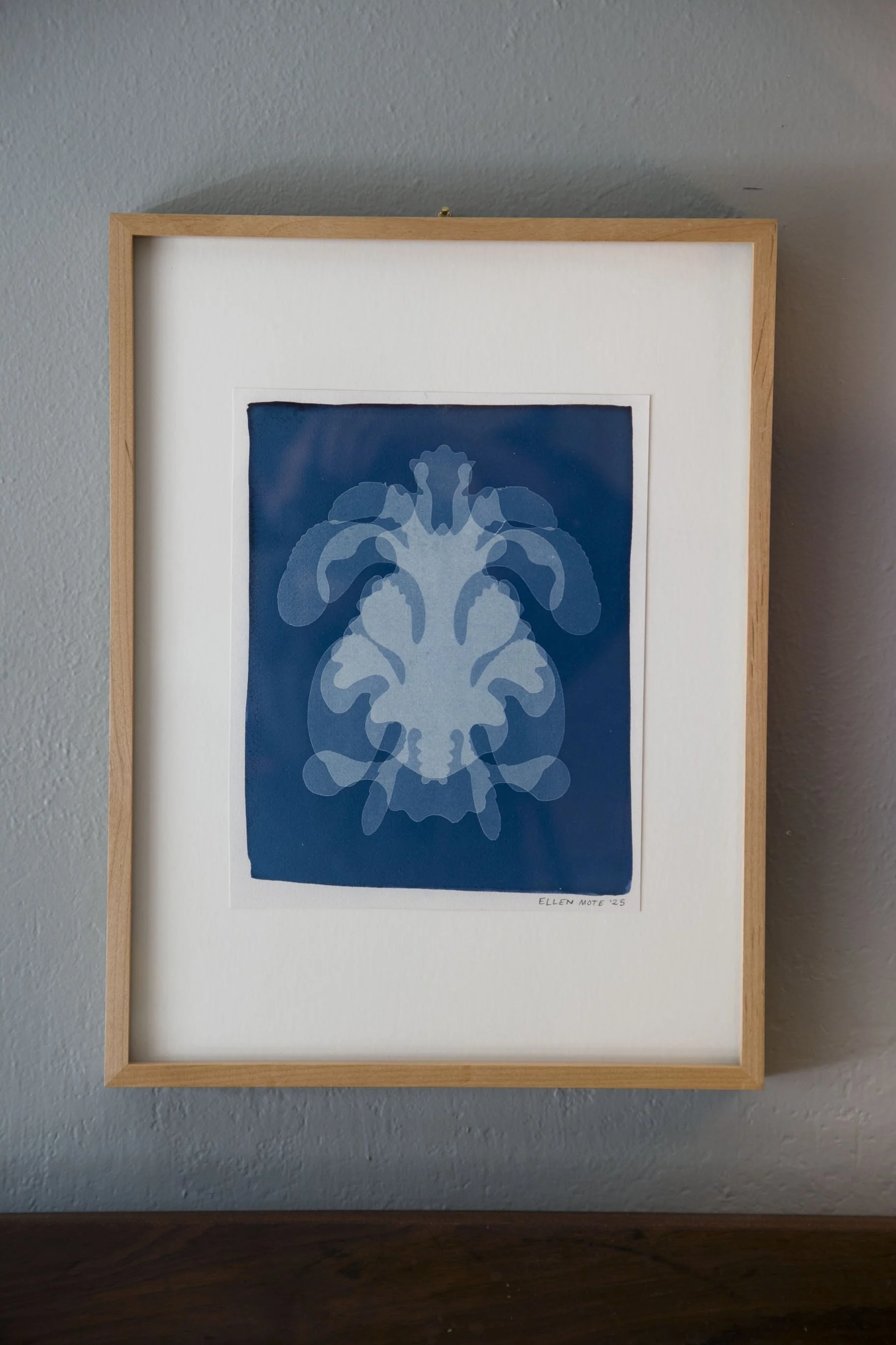 CYANO 23.jpg