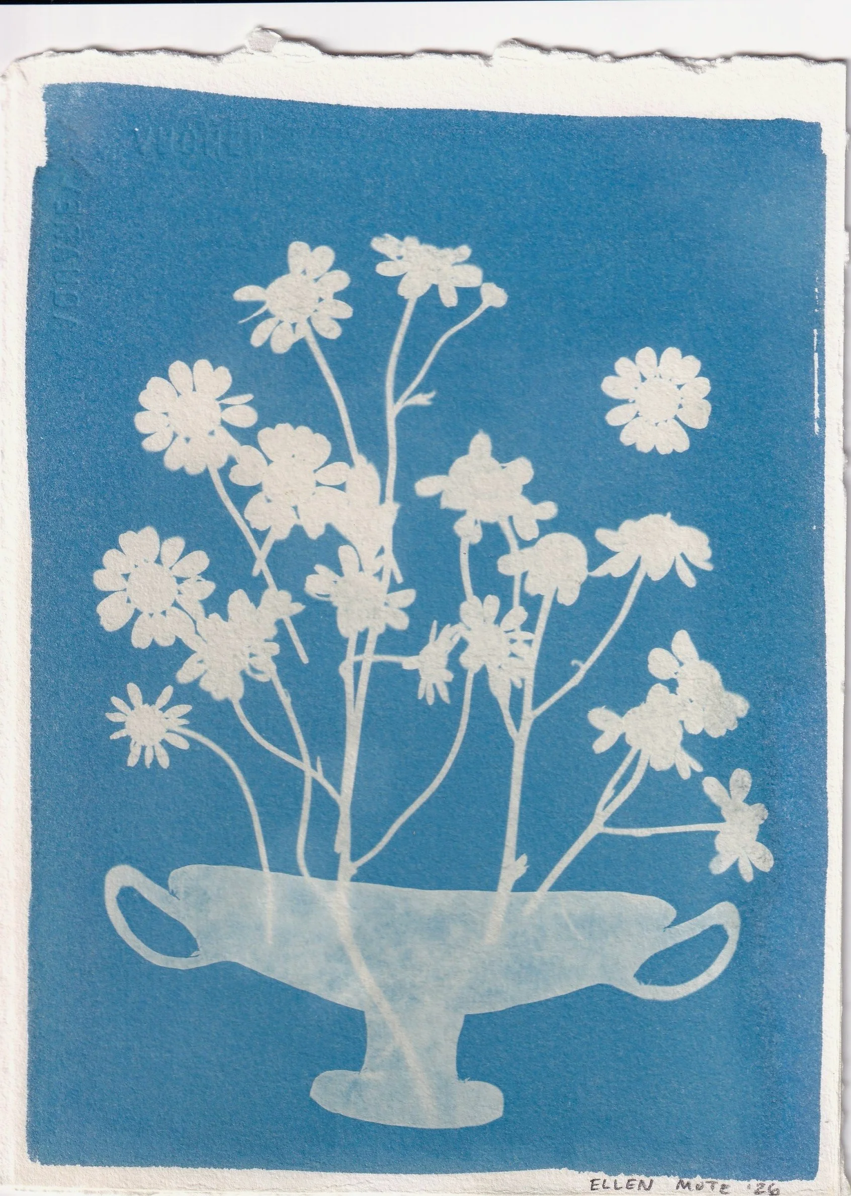 Mini SUPERBLOOM Cyanotype 2