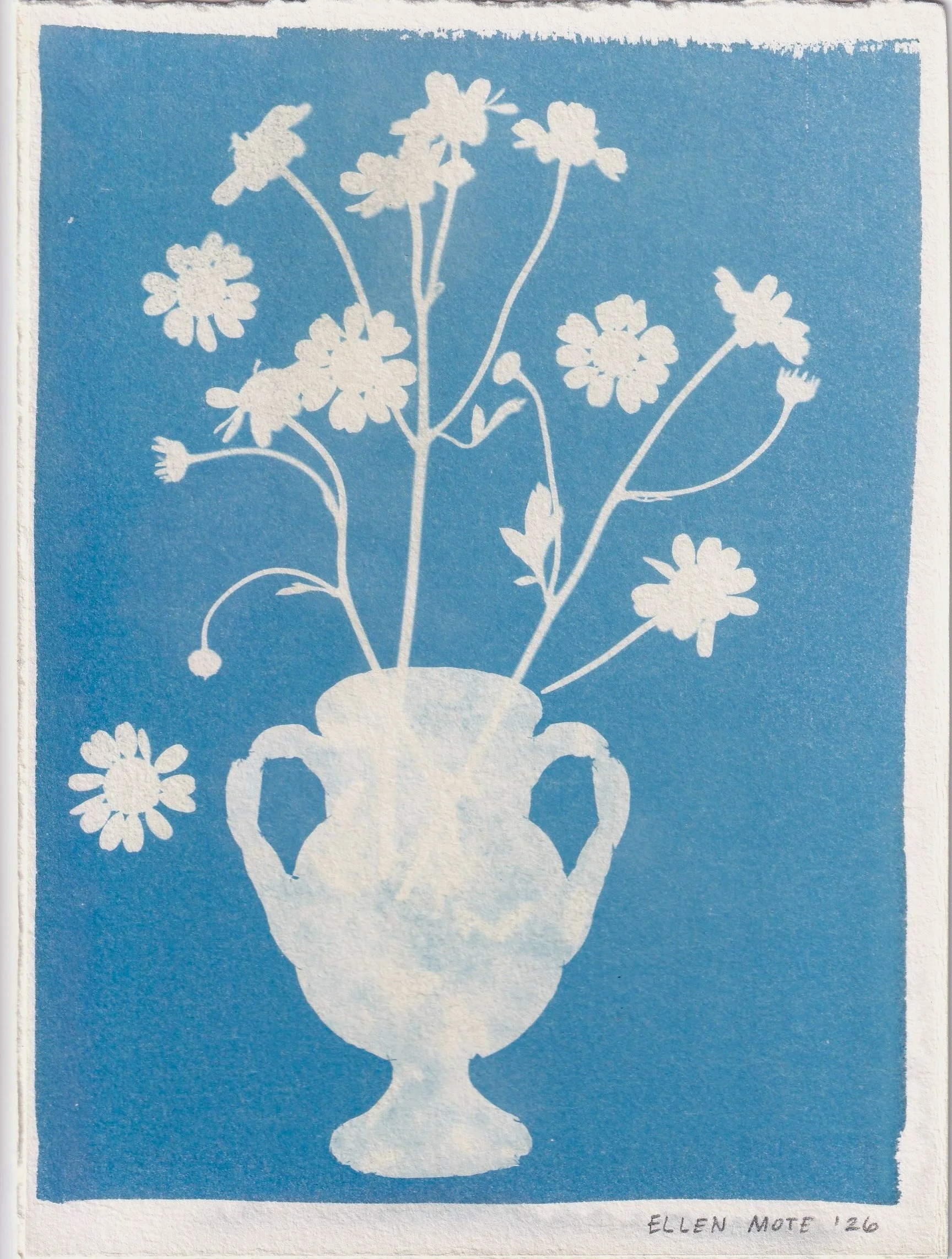 Mini SUPERBLOOM Cyanotype 4