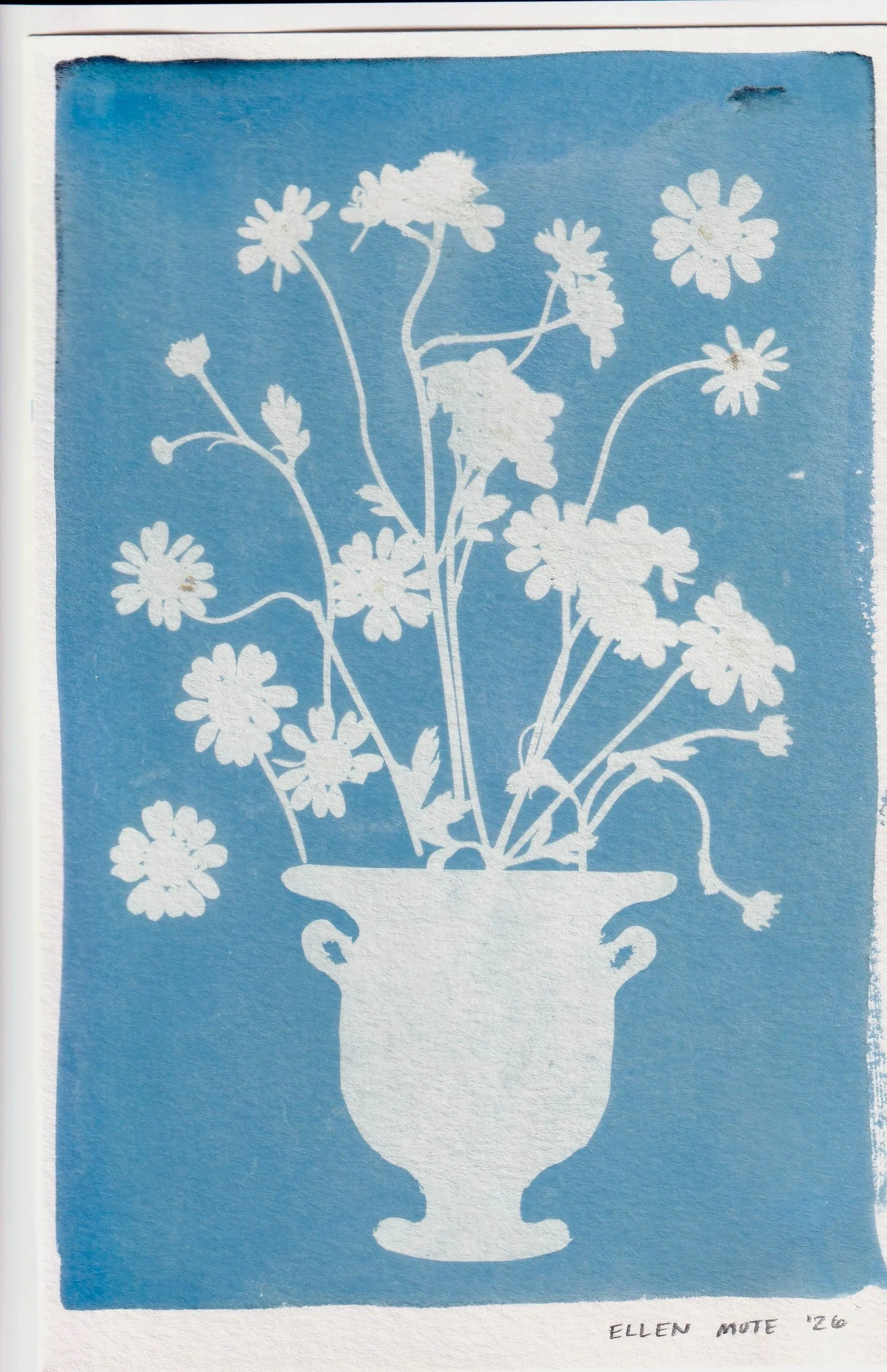 Mini SUPERBLOOM Cyanotype 3