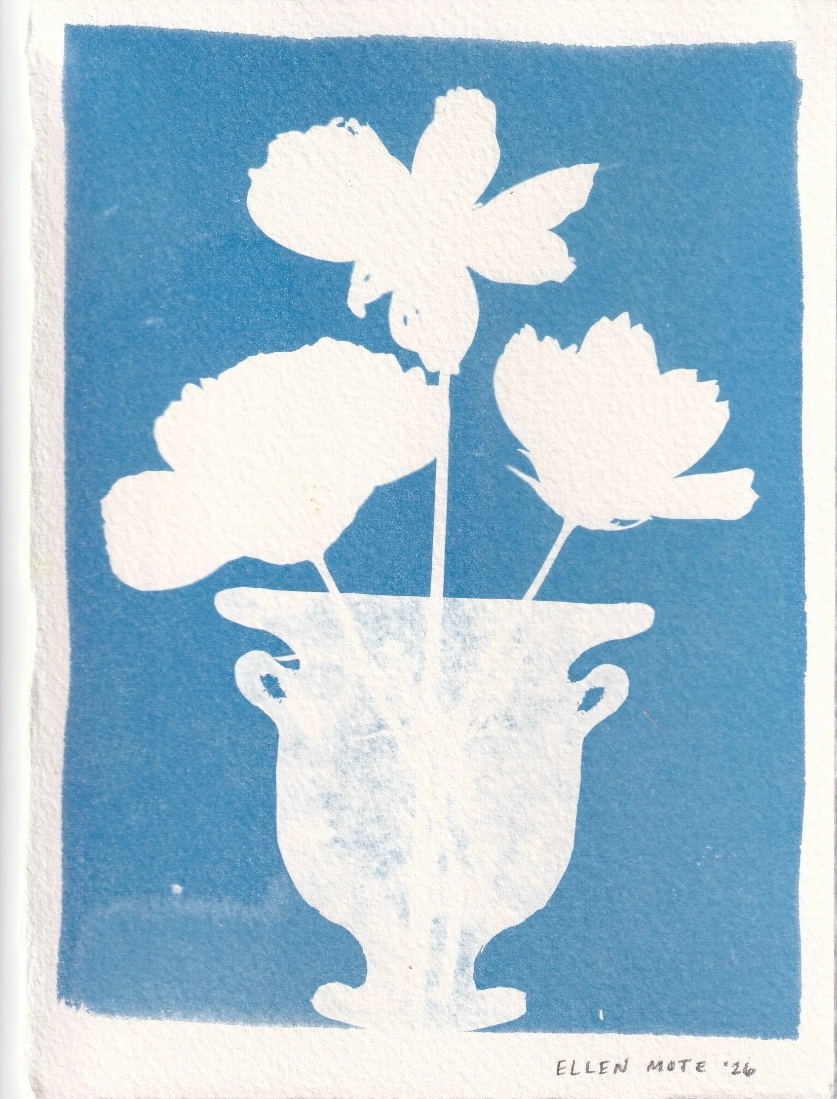Mini SUPERBLOOM Cyanotype 8