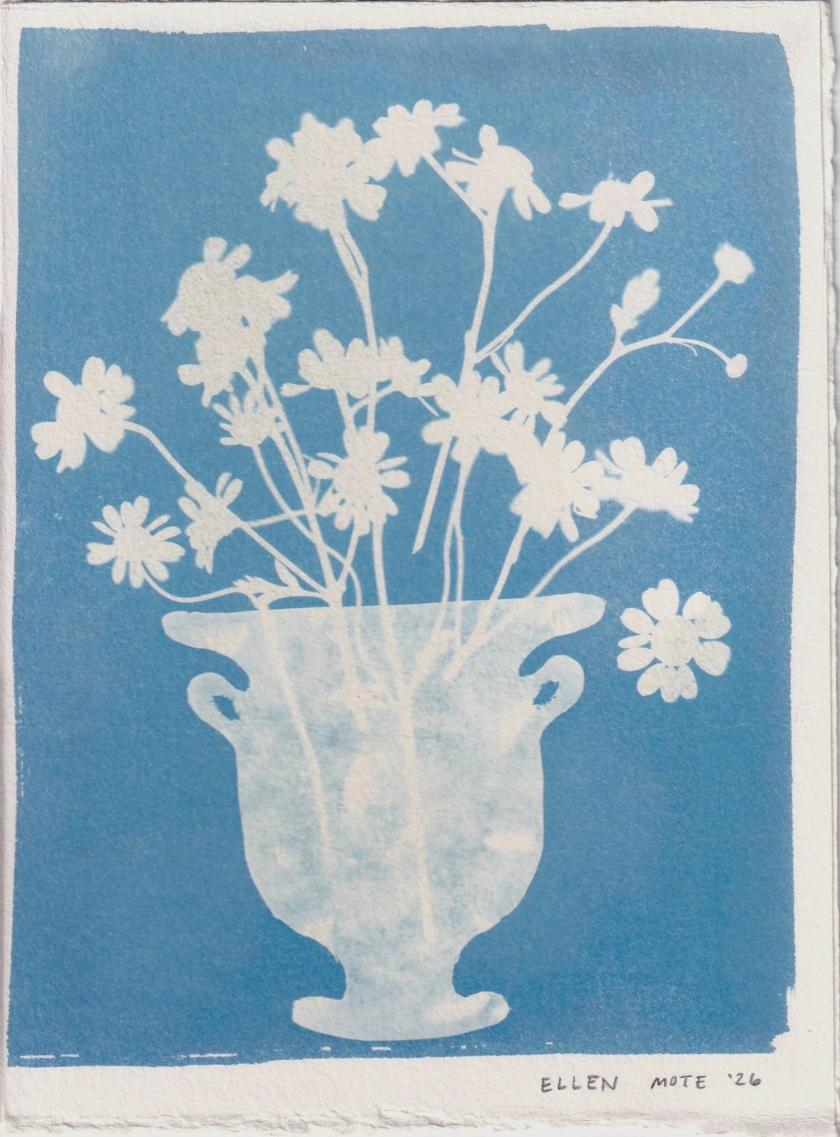Mini SUPERBLOOM Cyanotype 1