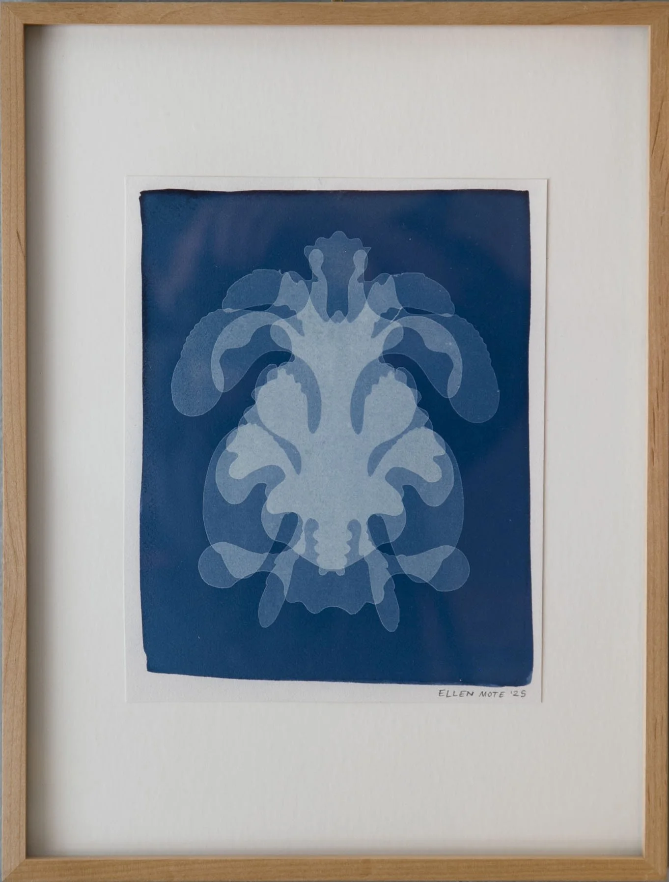 CYANO 23.1.jpg