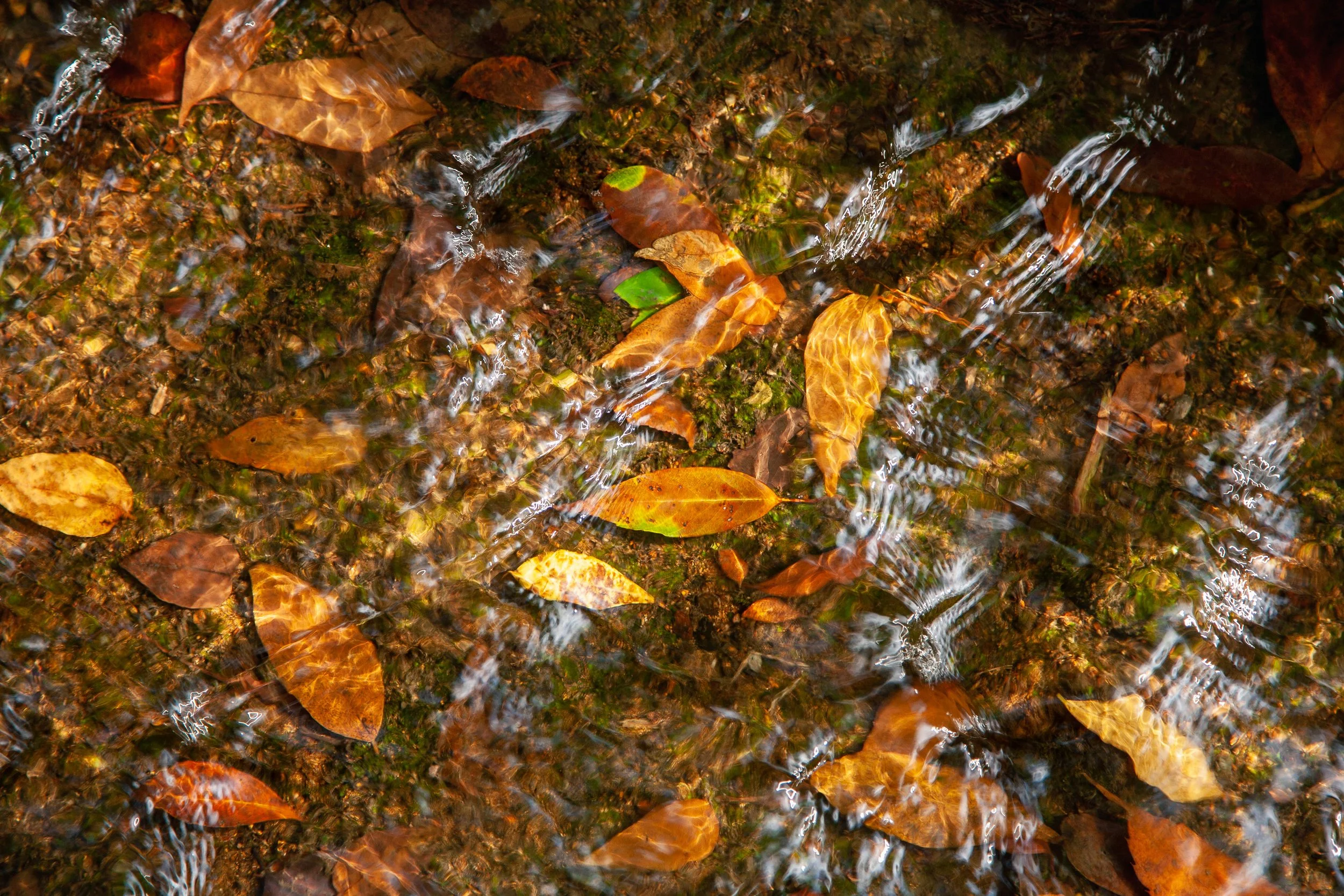 Natadera Temple, Ishikawa Prefecture, Chubu. 2007