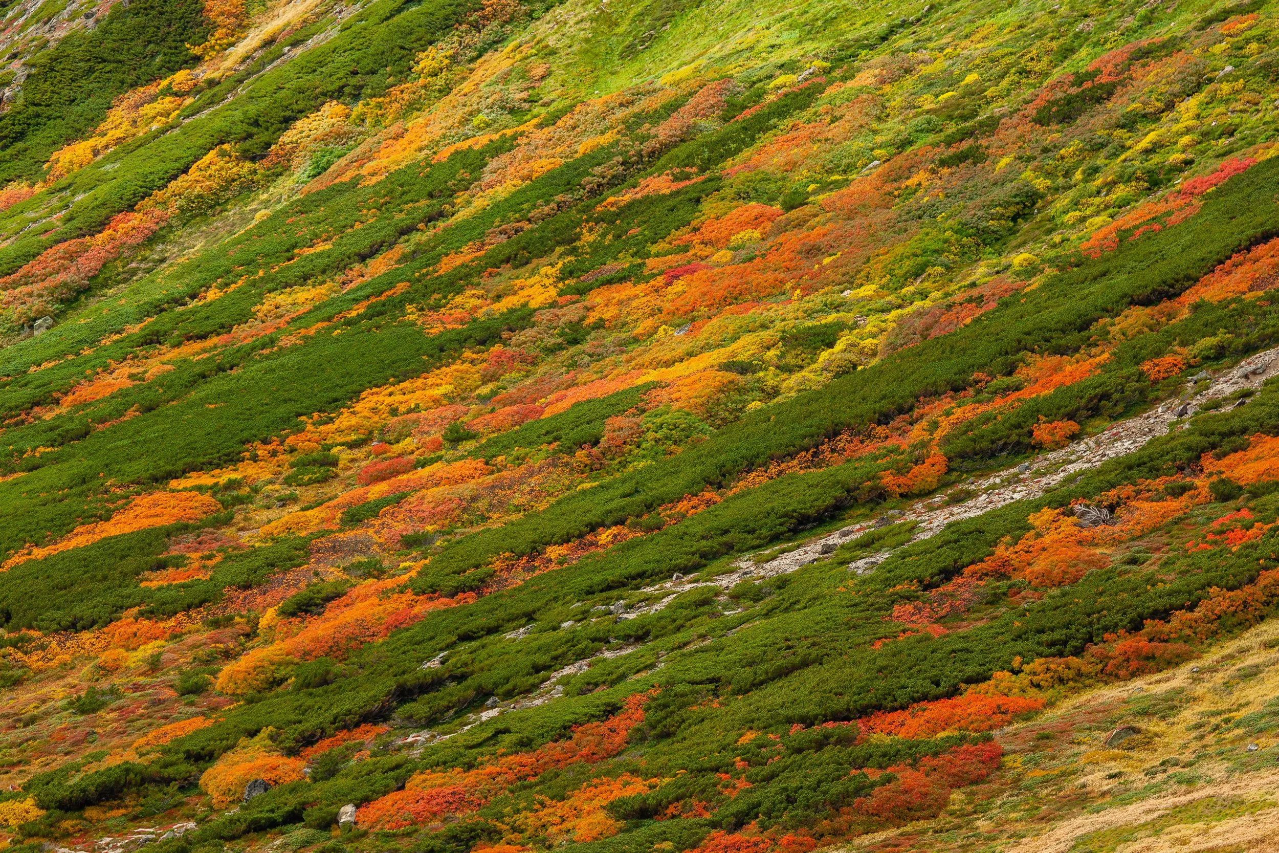 Mt. Asahidake, Daisetsuzan National Park, Hokkaido. 2007
