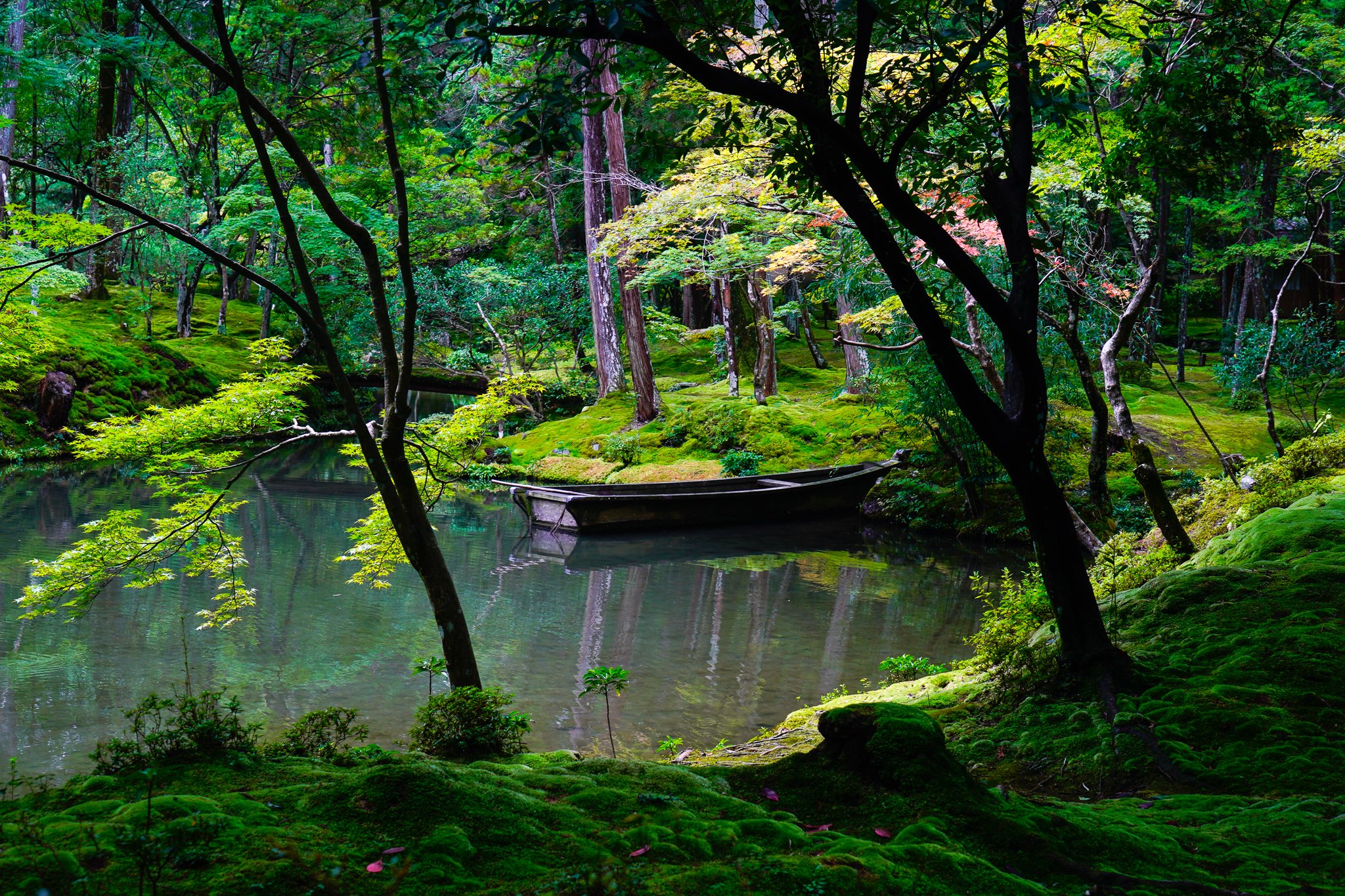 Saho-Ji Moss Garden, Kyoto. 2017