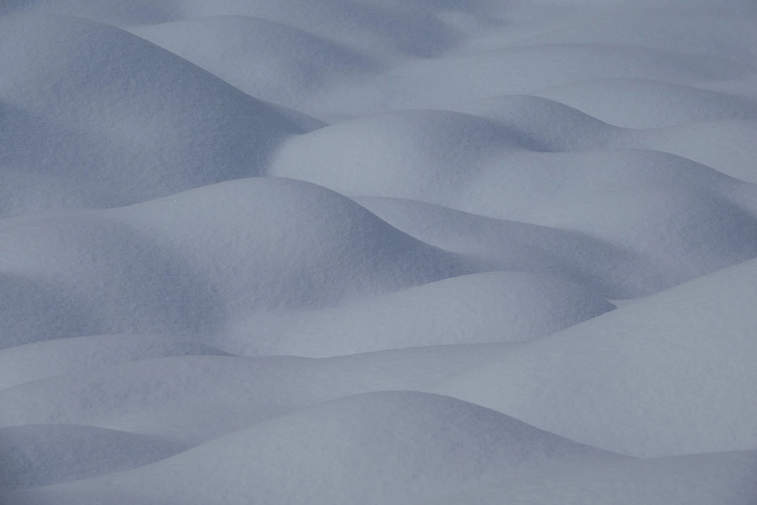 Mt. Asahidake, Diasetsuzan National Park, Hokkaido. 2007