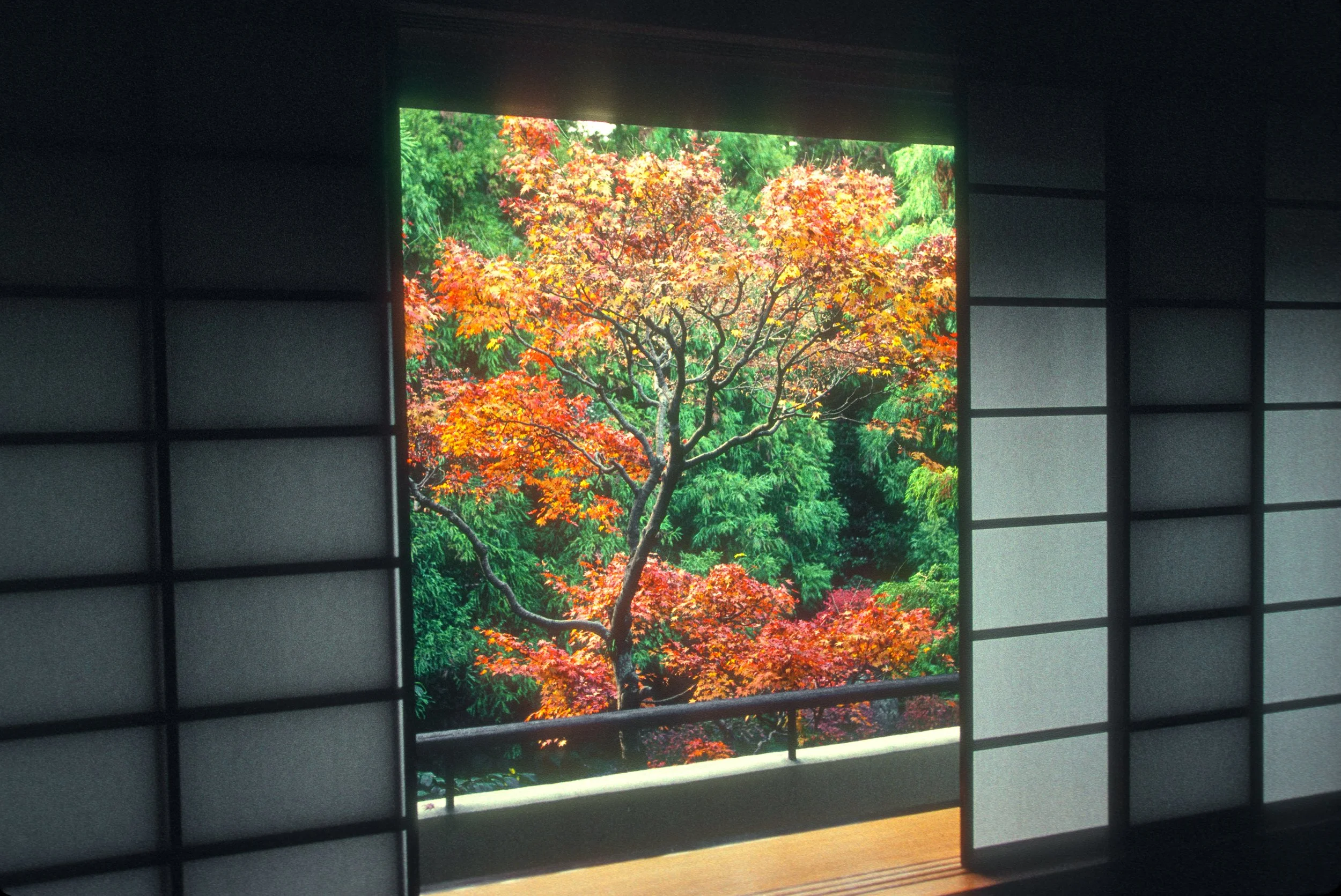 Ureshino Hot Spring Resort, Saga, Kyushu. 1992