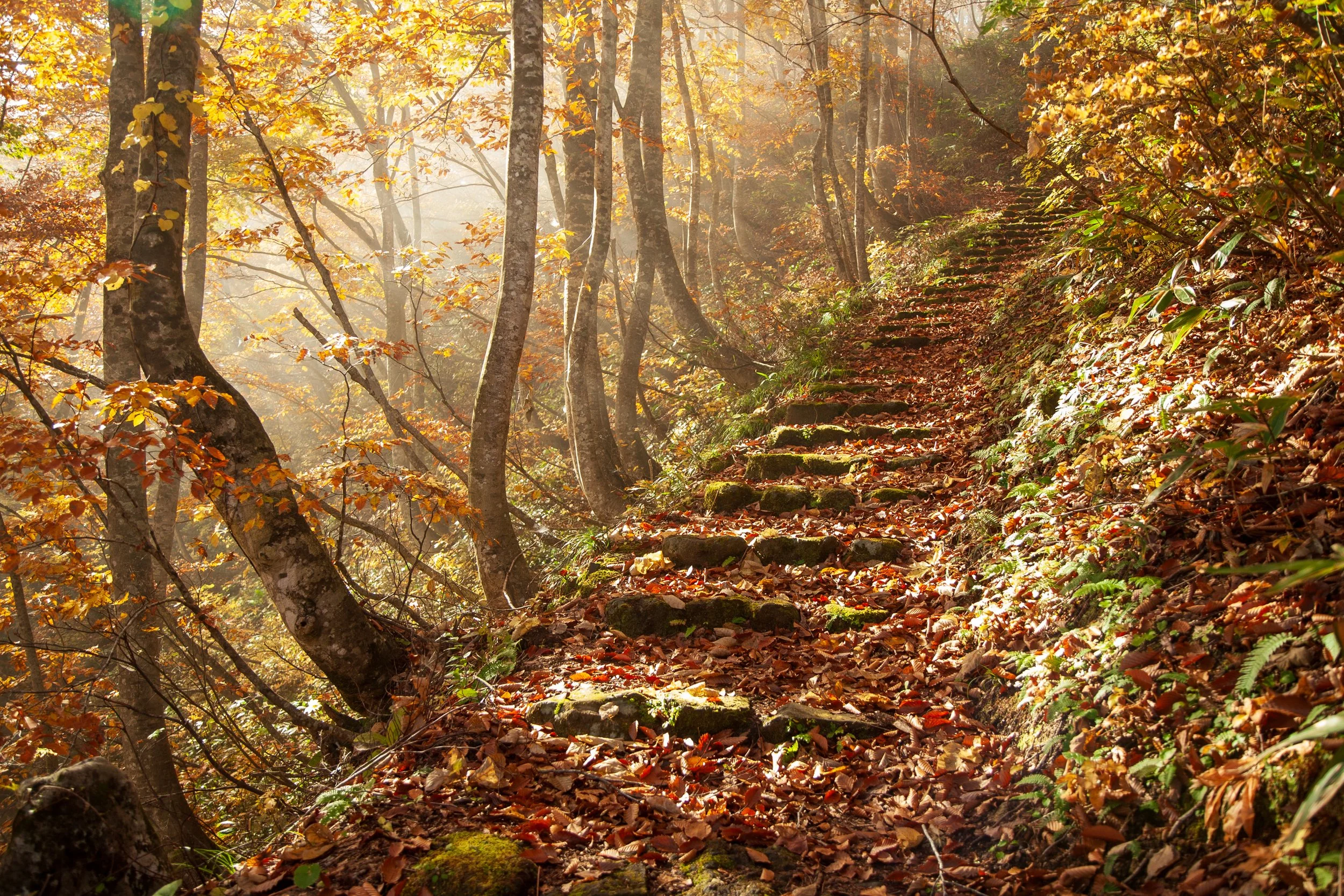Natagiri Pass, Yamagata Prefecture, Tohoku. 2006