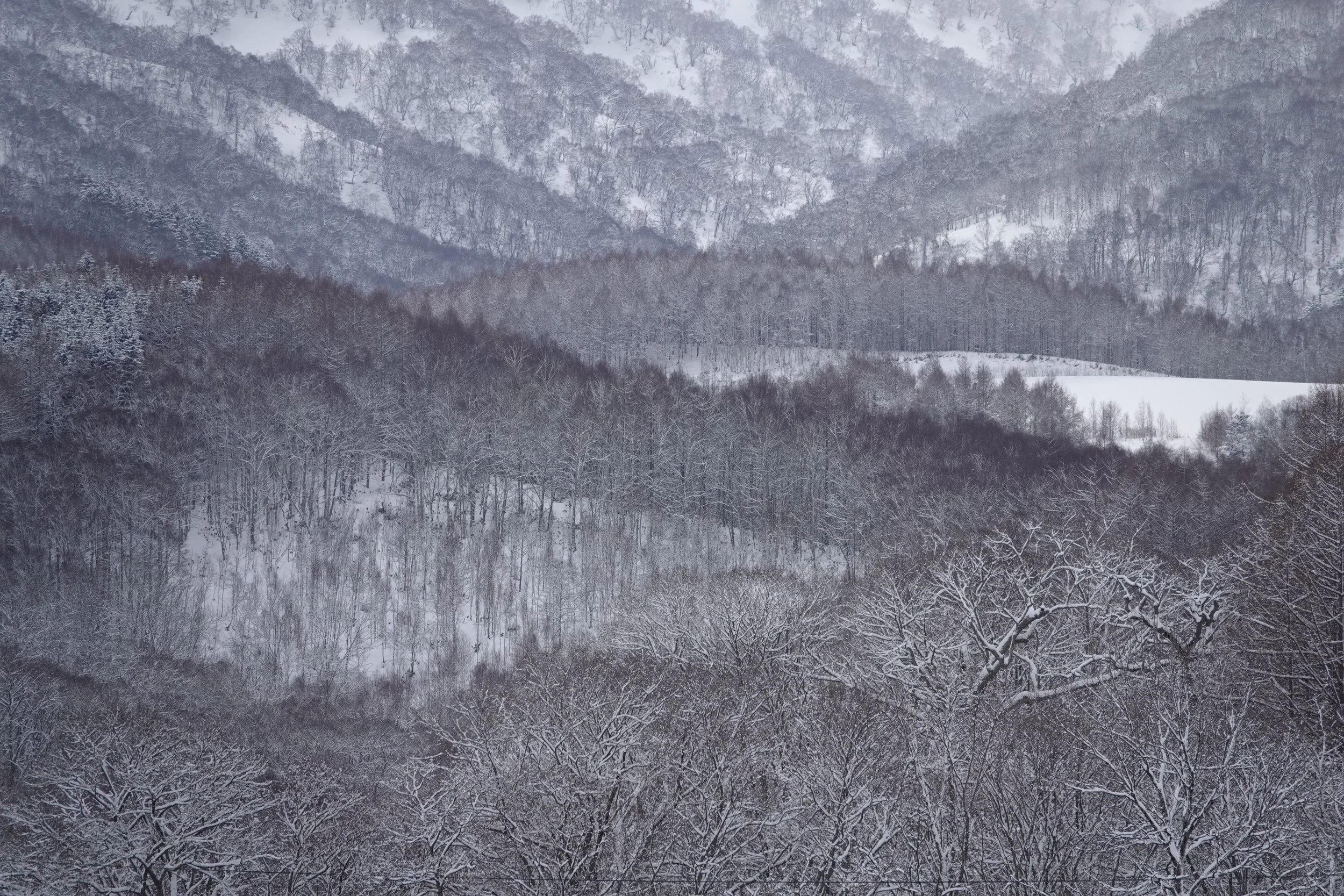Niseko, Hokkaido. 2020