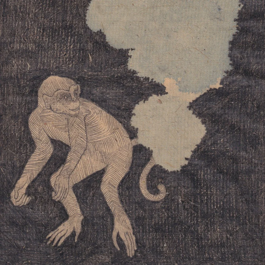 monkey_details_cut_12_b.jpg