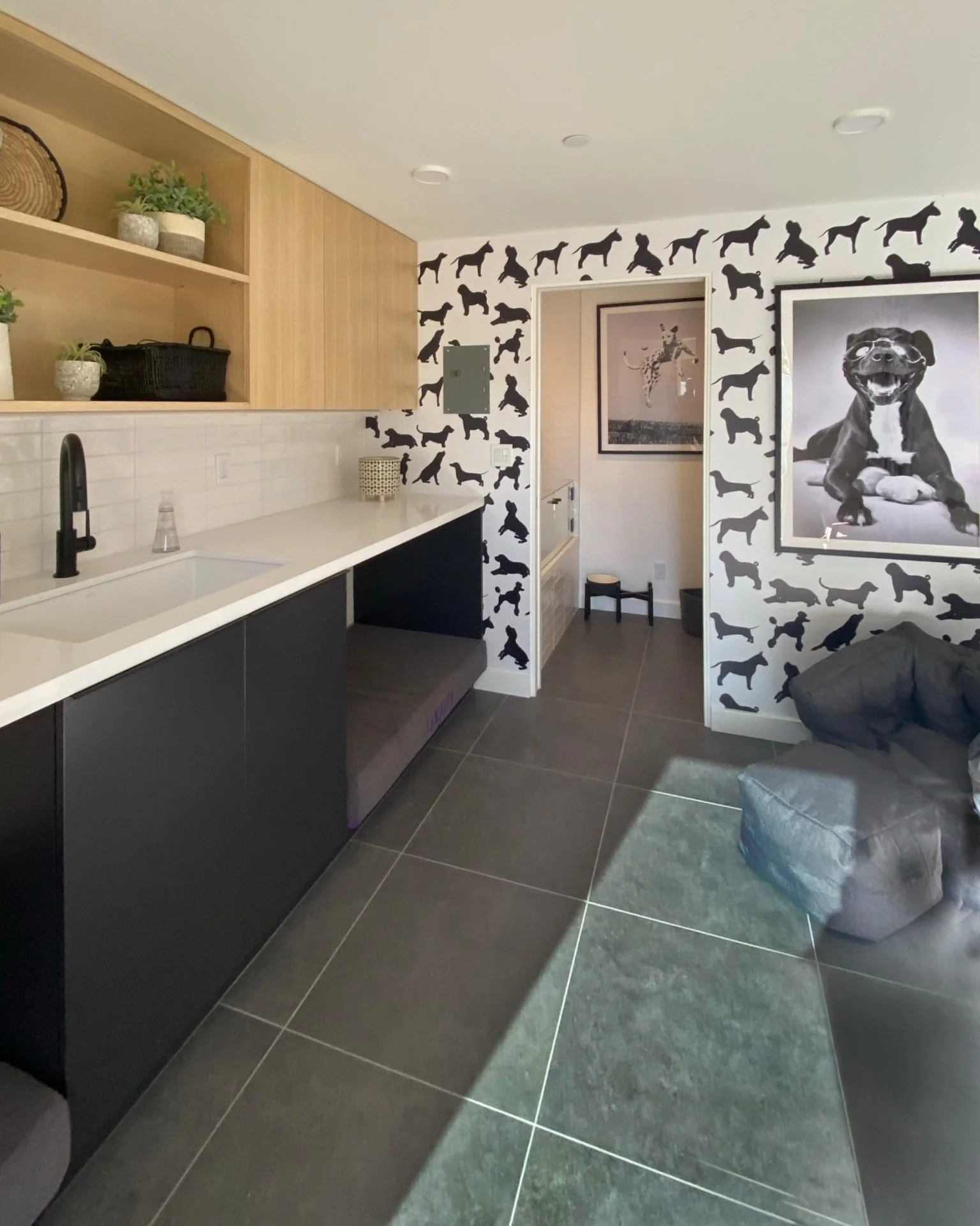 Dog Room.jpg
