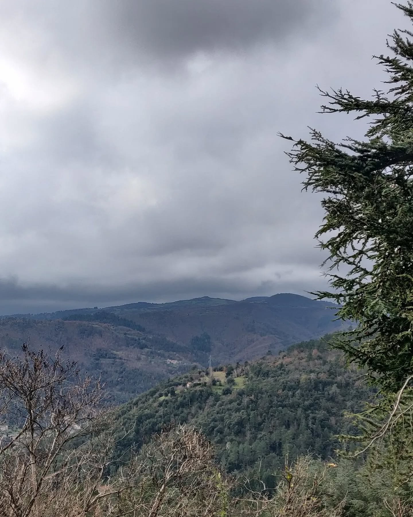 Hello ! Je suis de retour apr&egrave;s avoir pass&eacute; les f&ecirc;tes loin de la capitale 🏞️ Cette parenth&egrave;se m'as permis de me reposer mais surtout de me fixer pour objectif de d&eacute;m&eacute;nager pour vivre &agrave; la campagne au p