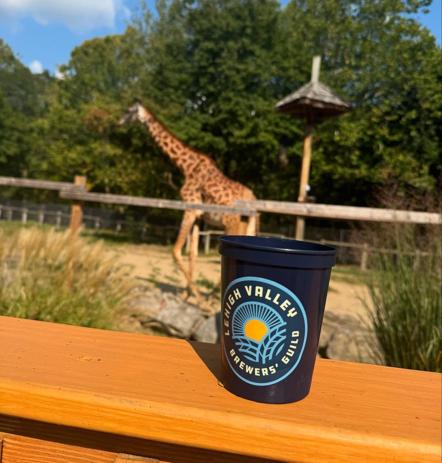 🦓🐒 Who&rsquo;s ready to party with the animals? Brew at the Zoo returns Saturday, September 13th, and we&rsquo;re going wild just thinking about it!
.
.
We&rsquo;ll be rolling out more info soon, but for now&mdash;circle that date and start dreamin