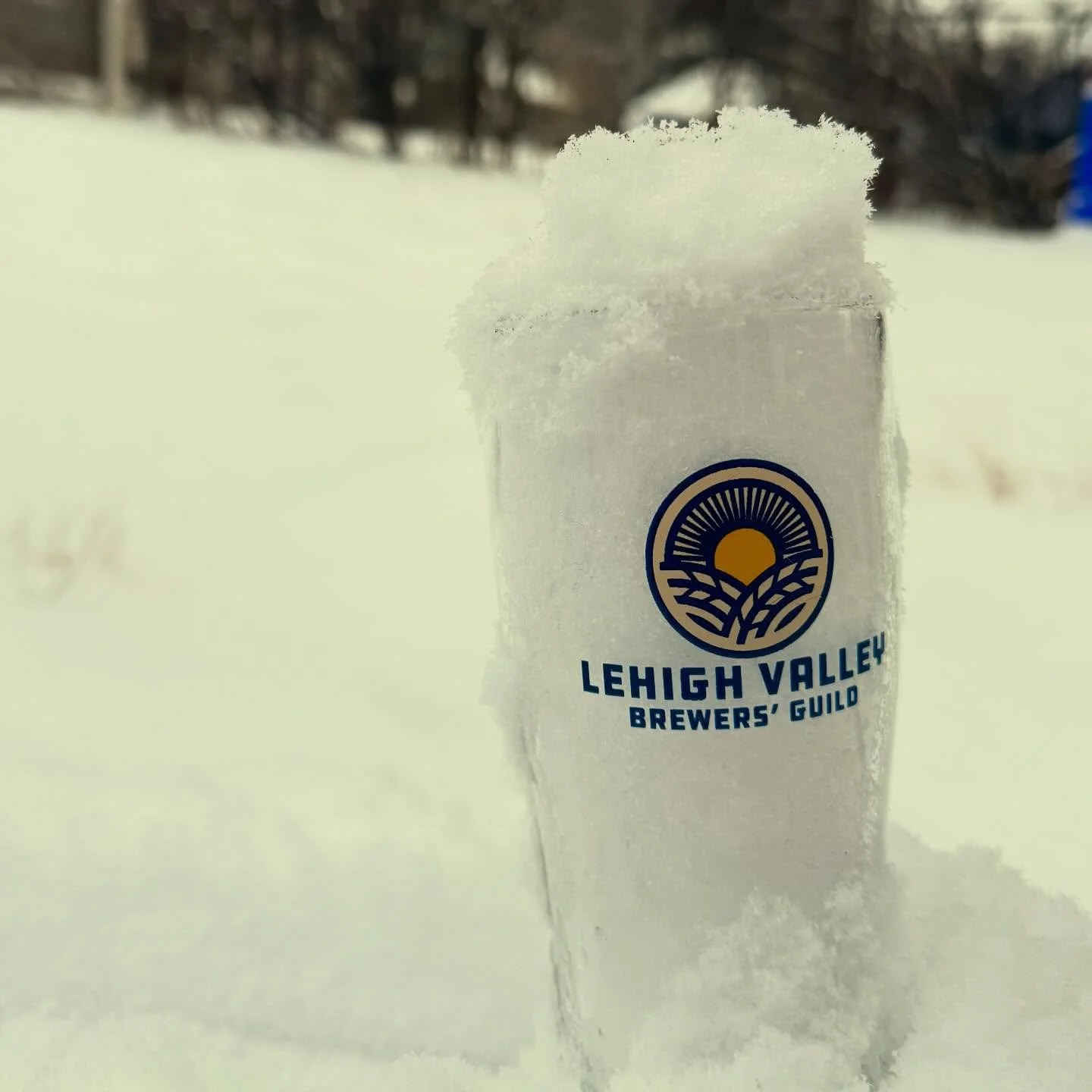 We want to see your #snowday beer choices, Lehigh Valley! What are you drinking on this snowy Sunday? ❄️🌨️ Stay warm &amp; safe, friends! &hearts;️
.
.
#lehighvalley #lehighvalleybeer #drinklocalbeer #beerstagram