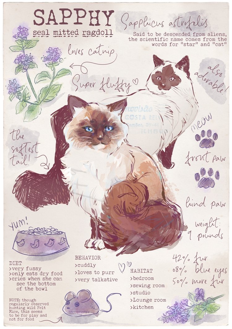 Pet Commissions — Sophie Jantak art Pet Commissions — Sophie Jantak art