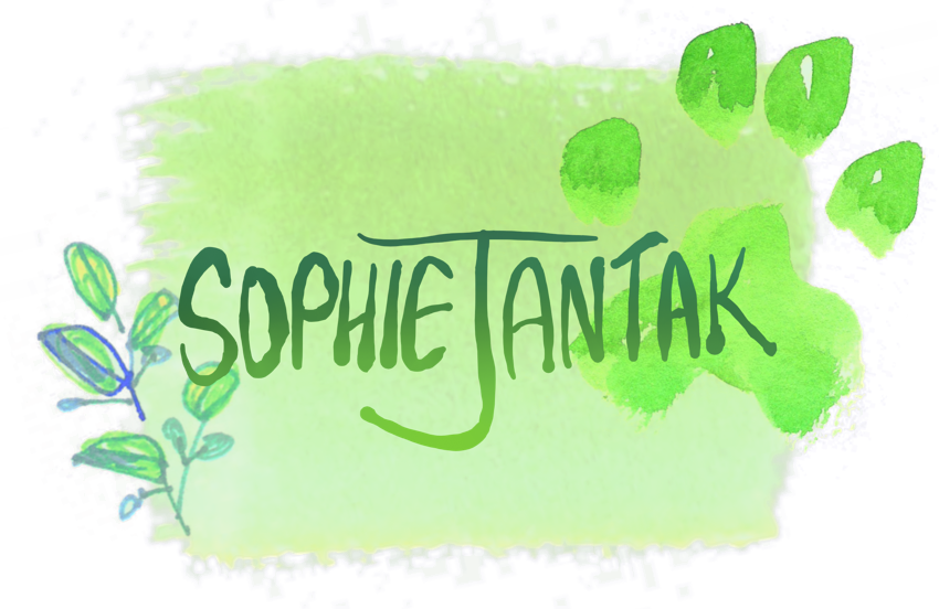 Sophie Jantak art