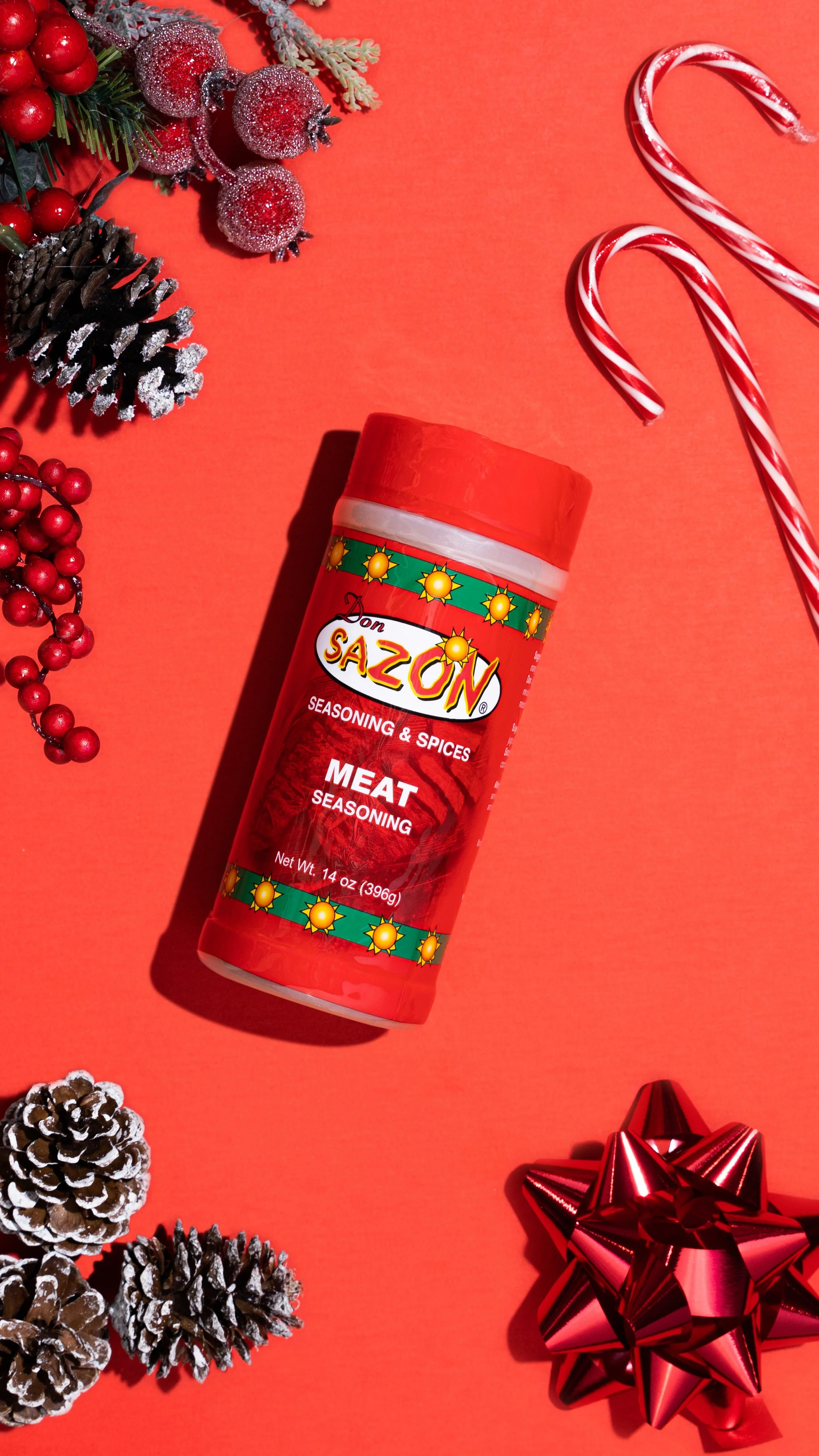 Meat Seasoning_Holiday_Overhead V4.jpg