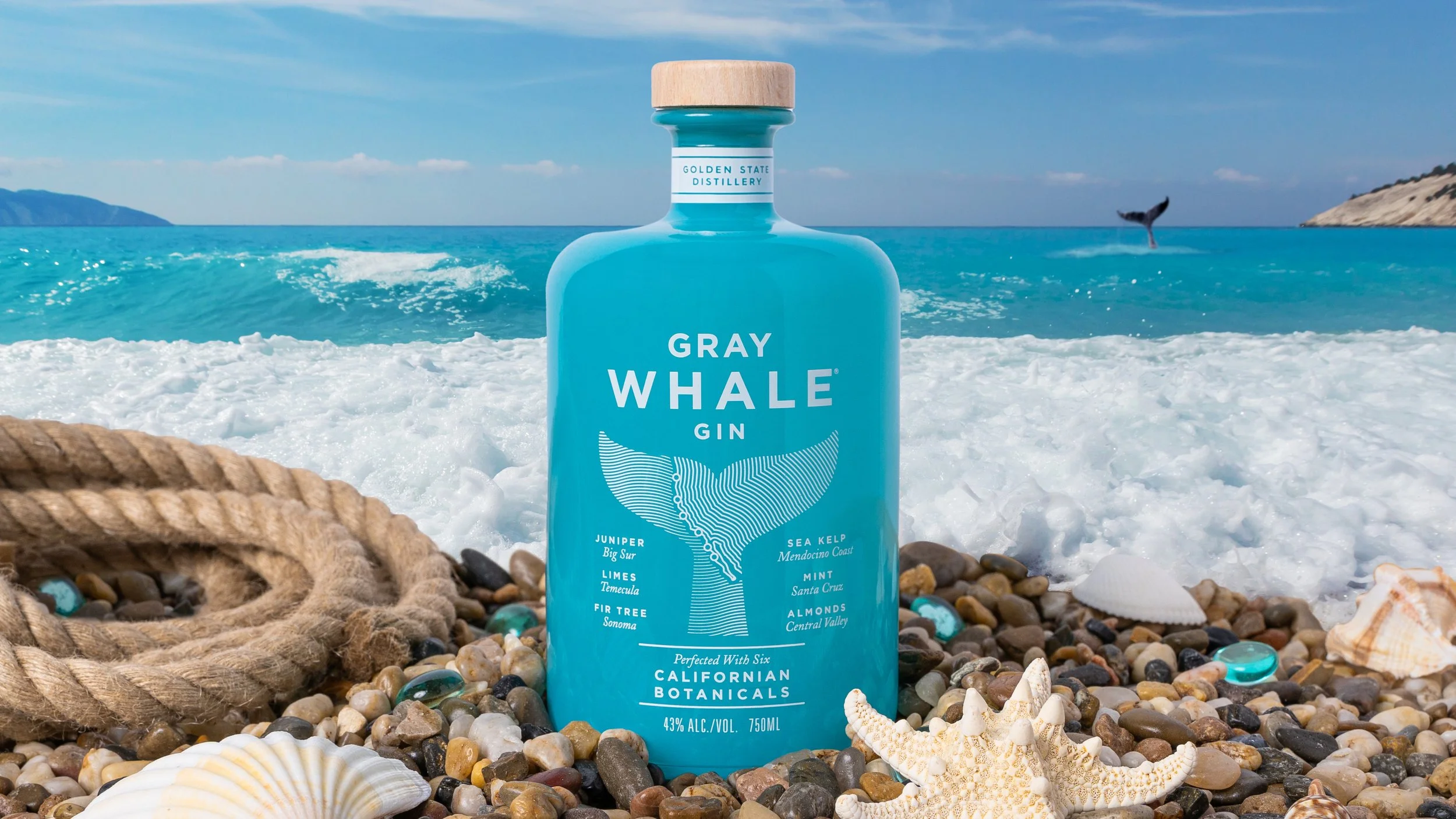 Gray Whale Gin (Wide) v2.JPG