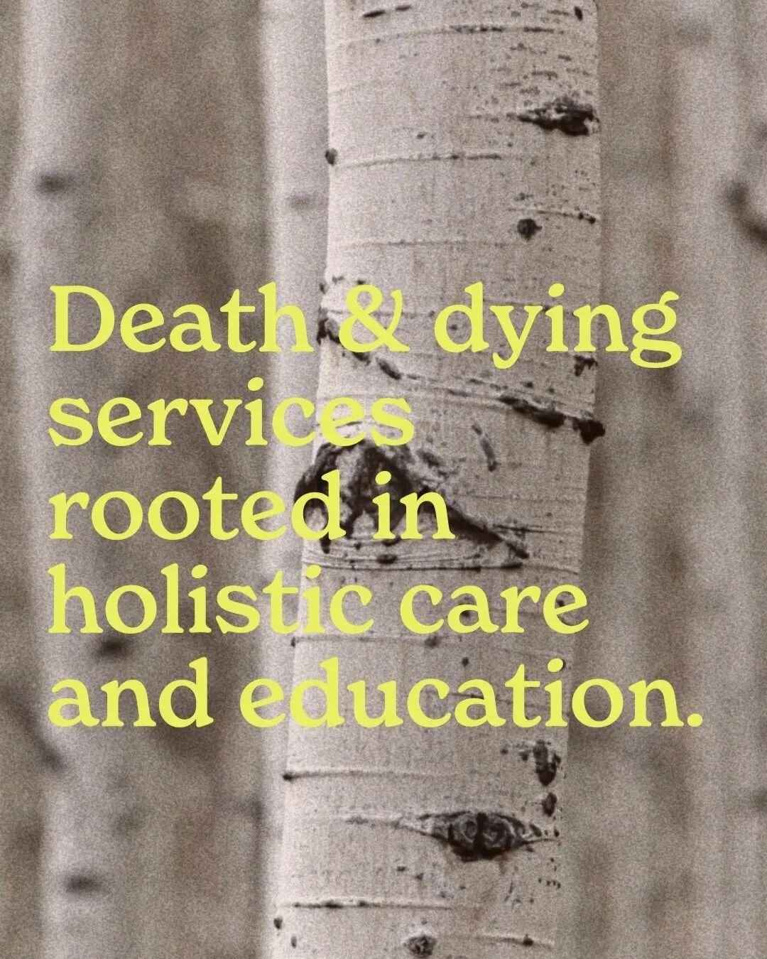 To better understand the current &quot;death revolution&quot; and what holistic Deathworkers are offering to their communities, head to my web page. It holds many free resources and some educational info for those who are; struggling with a loss, act