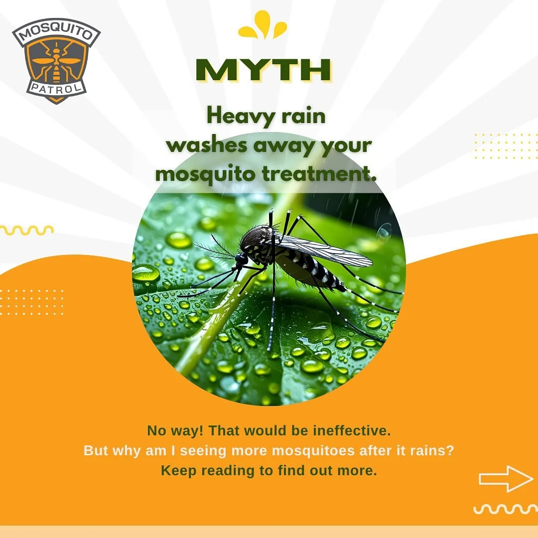 All this rain lately has people asking &mdash; DID IT WASH AWAY OUR MOSQUITO TREATMENT? 
The good news: NOPE! Once our treatment dries (about 30&ndash;60 minutes), it&rsquo;s rain-resistant and keeps working on your foliage for up to 3 weeks!

But he