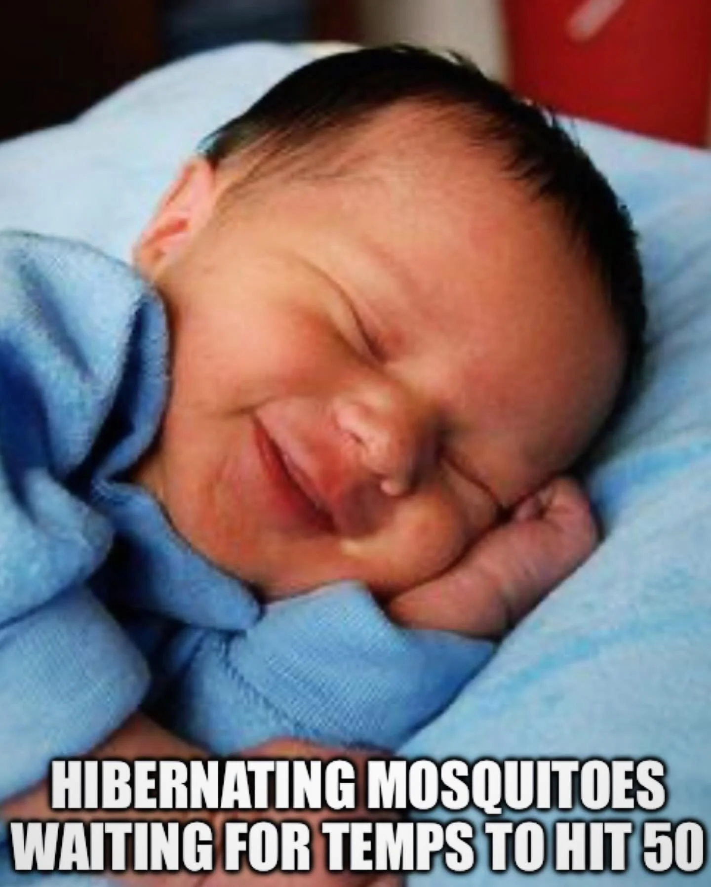 Mosquitoes don&rsquo;t mind a little cold air &mdash;
They&rsquo;re just laying low, tucked in somewhere.

But when temps hit 50 and sunshine sticks&hellip;
They wake right up and start their tricks. 

💨 Target the hiding spots now
&rarr; Fewer buzz