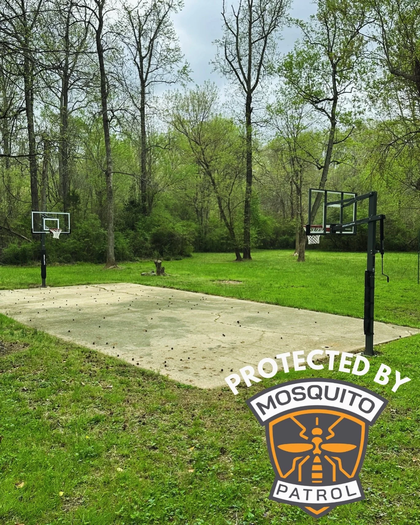 🏀 GAME ON!! Bite-free! 
Outdoor pickup games protected by Mosquito Patrol. 🌳 
Great space, @k_boswell 

Bring on backyard fun!!