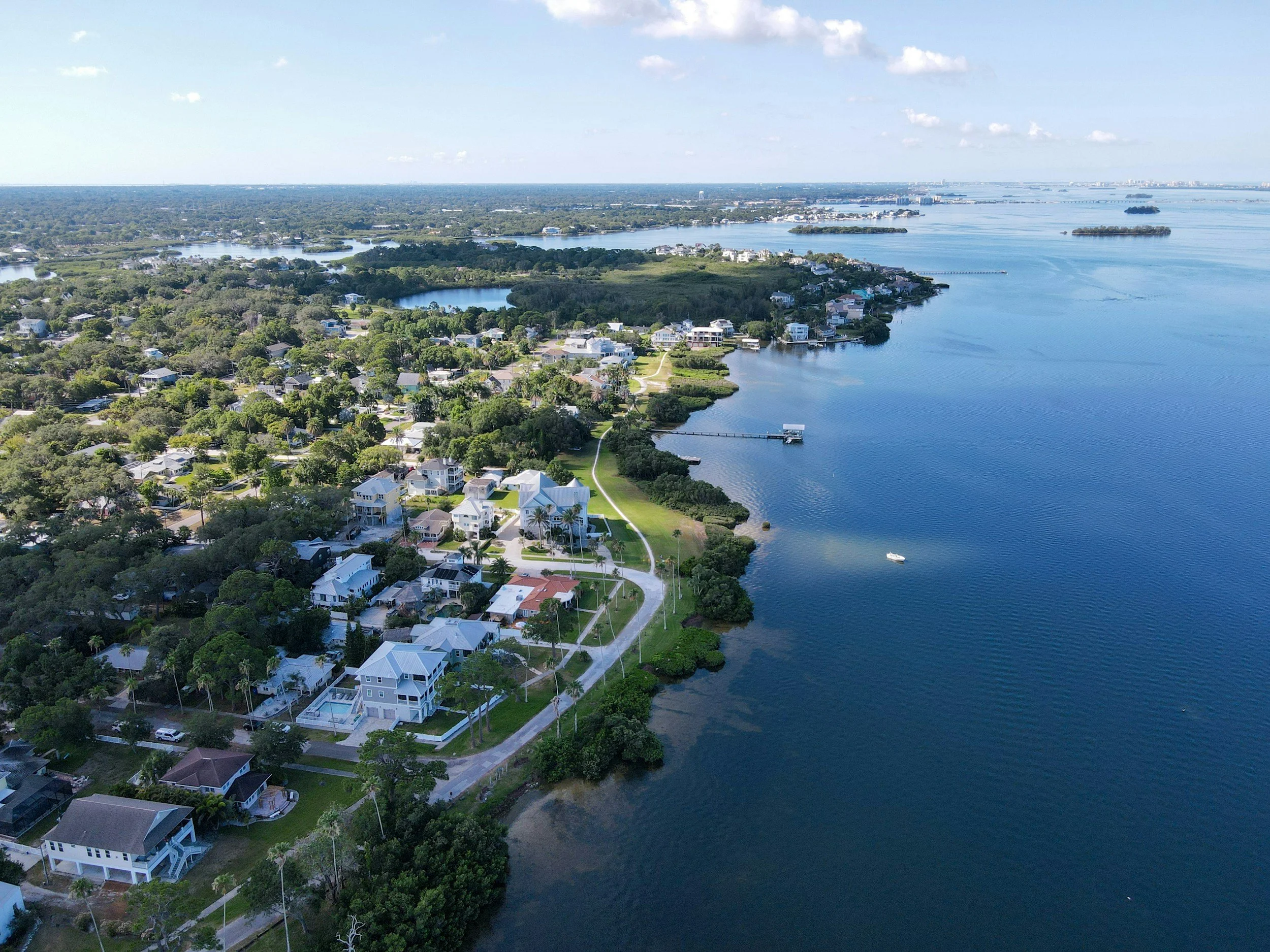 Aerial view of a coastal residential area with houses, lush greenery, and a wide body of water on the right.