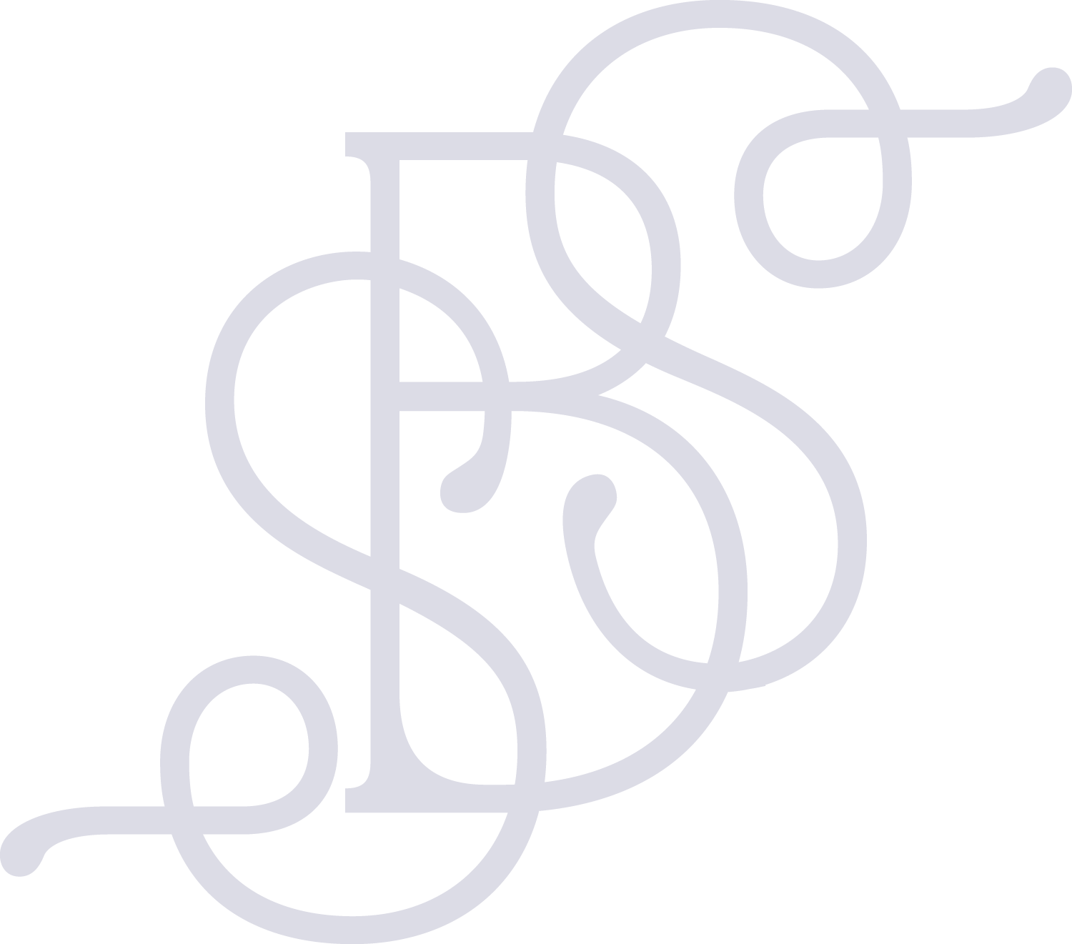Silver Bark Studio