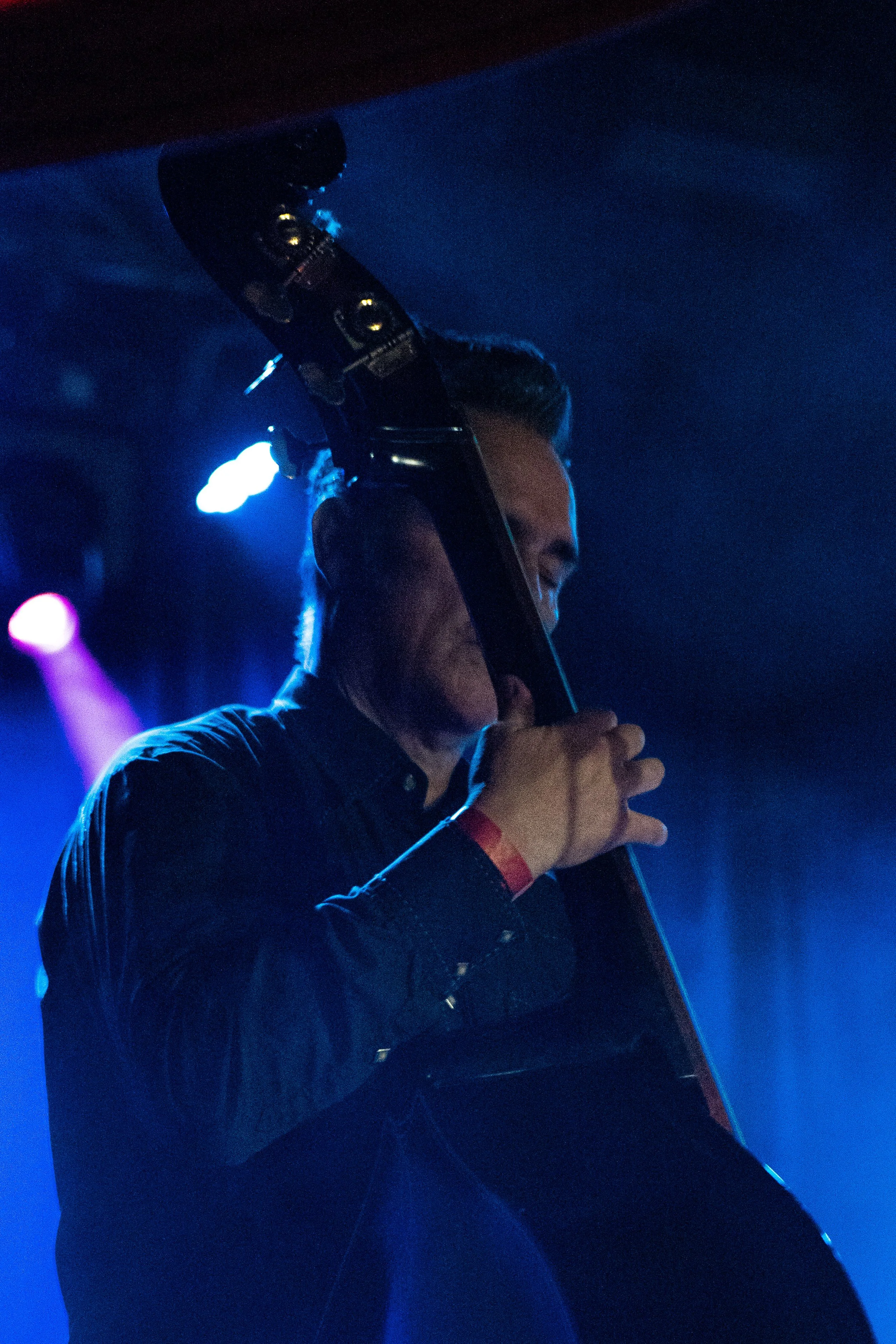LaynSheppard_20220115_Portland Sat Night_1709.jpg