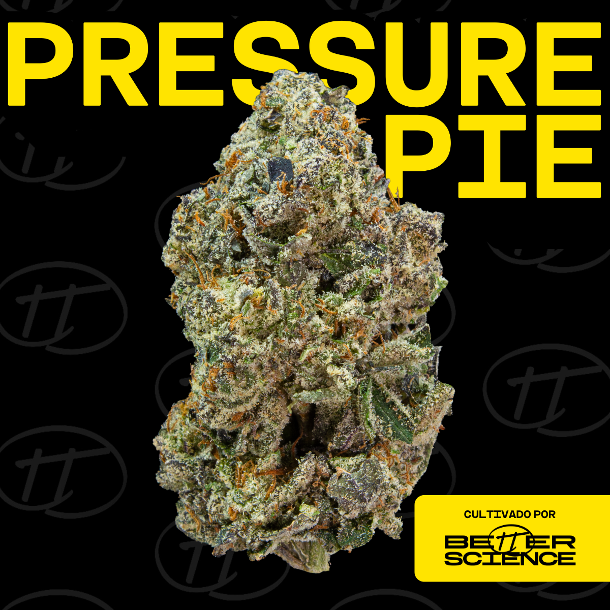 Pressure Pie