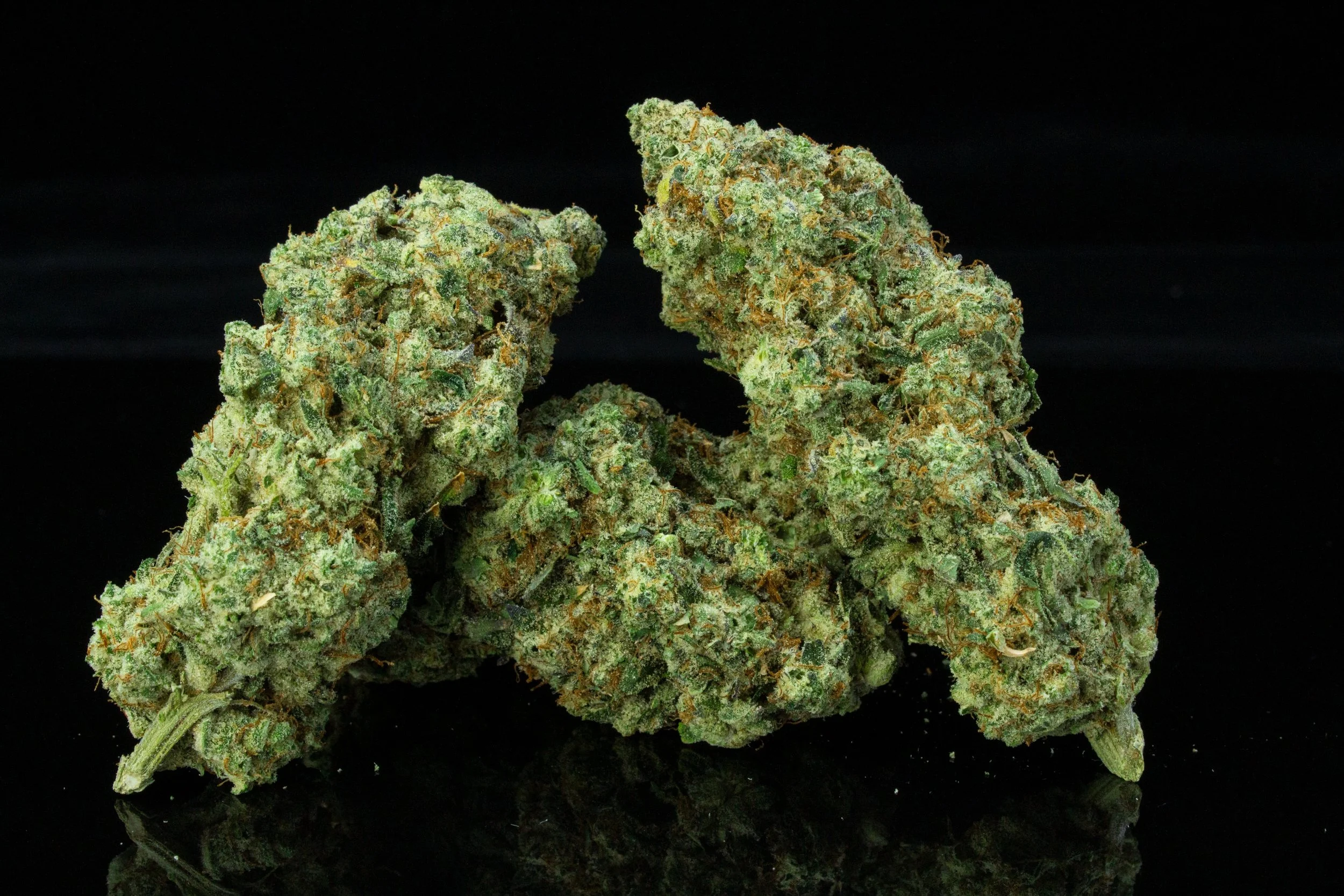 STRAWBERRY PAVE 3 🍓

La calidad no se explica.
Se cultiva y se aprecia.

2.91% de terpenos.
22.89% Th&copy;️ 
Indoor. Puerto Rico.

We grow BETTER.