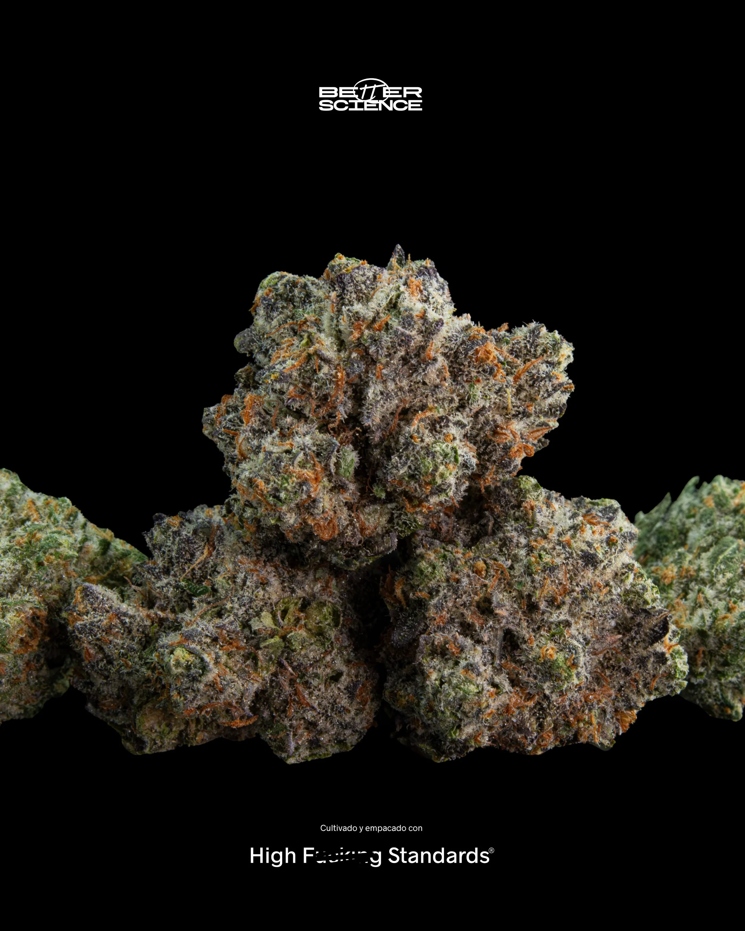 BrrBerry 🥶

Datos 📊 #wegrowbetter

Perfil: Mirceno, Limoneno, Linalool, Cariofileno, trans-Nerolidol

2.38% Terpenos totales

#betterflowers #highstandards 

🚫 Nada a la venta 🚫 Contenido exclusivamente educativo dirigido a pacientes 21+ registra