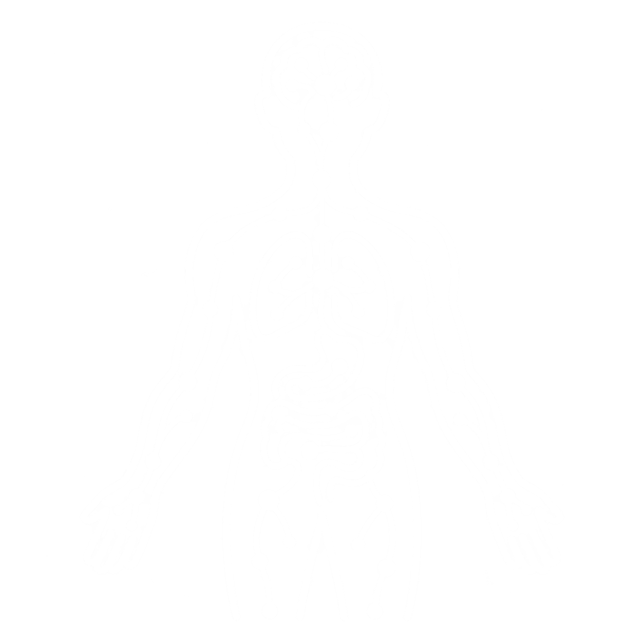 Ilustración del sistema nervioso y circulación en un cuerpo humano delineado en blanco sobre fondo negro.