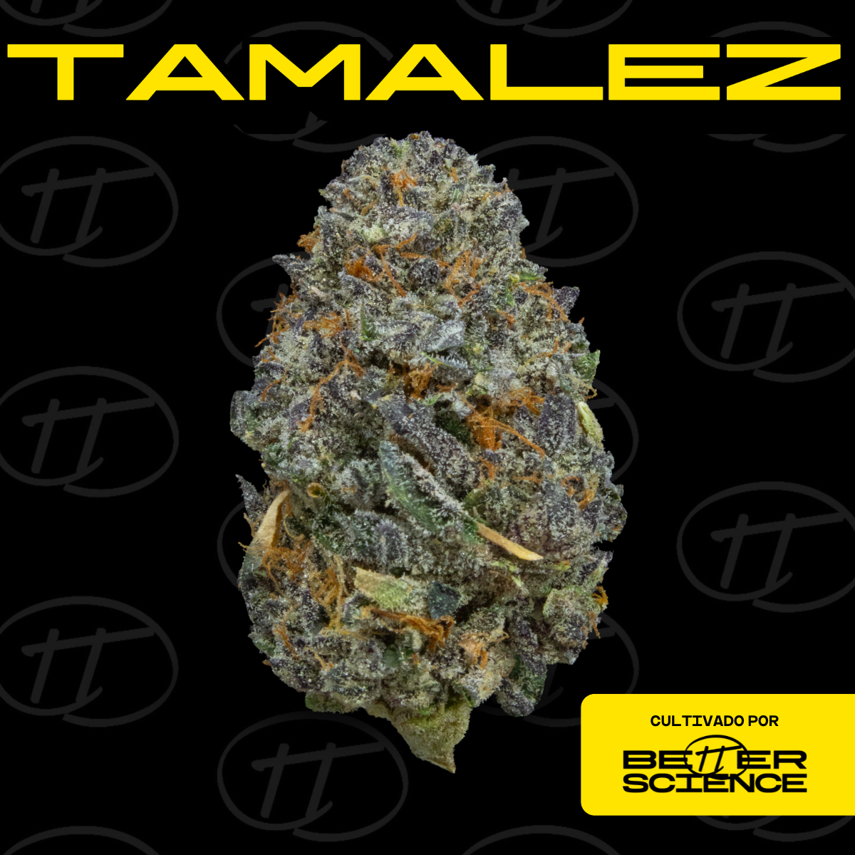 Tamalez