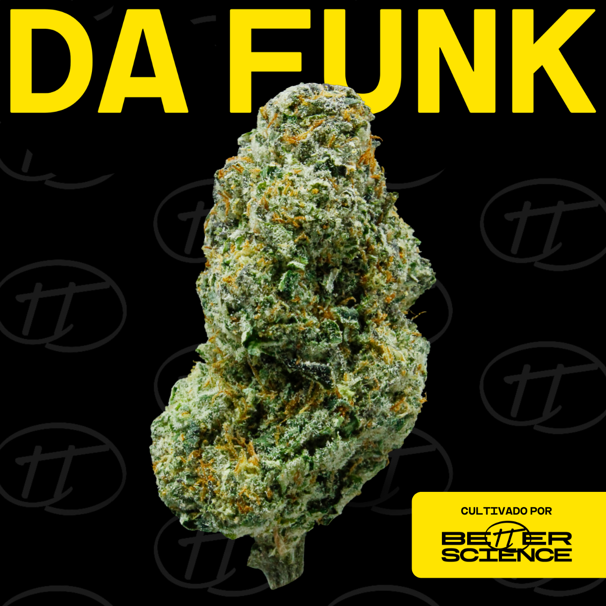 Da Funk