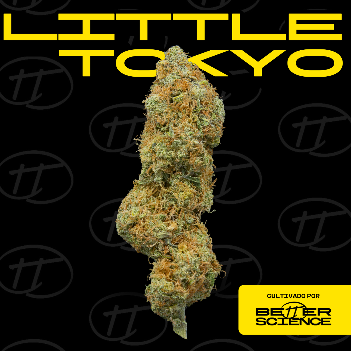 Little Tokyo