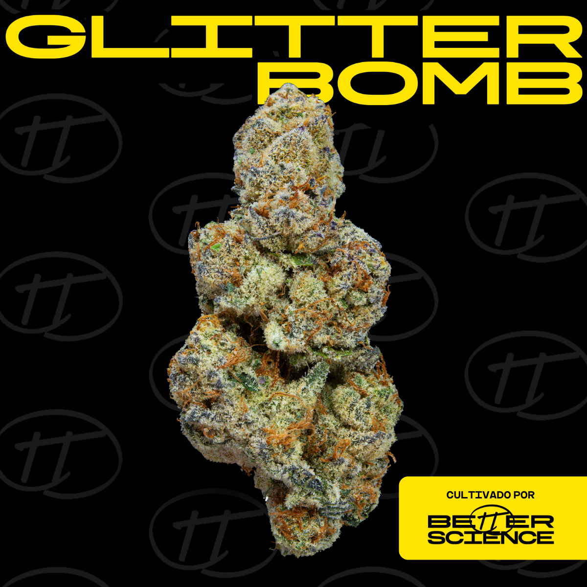 Glitter Bomb