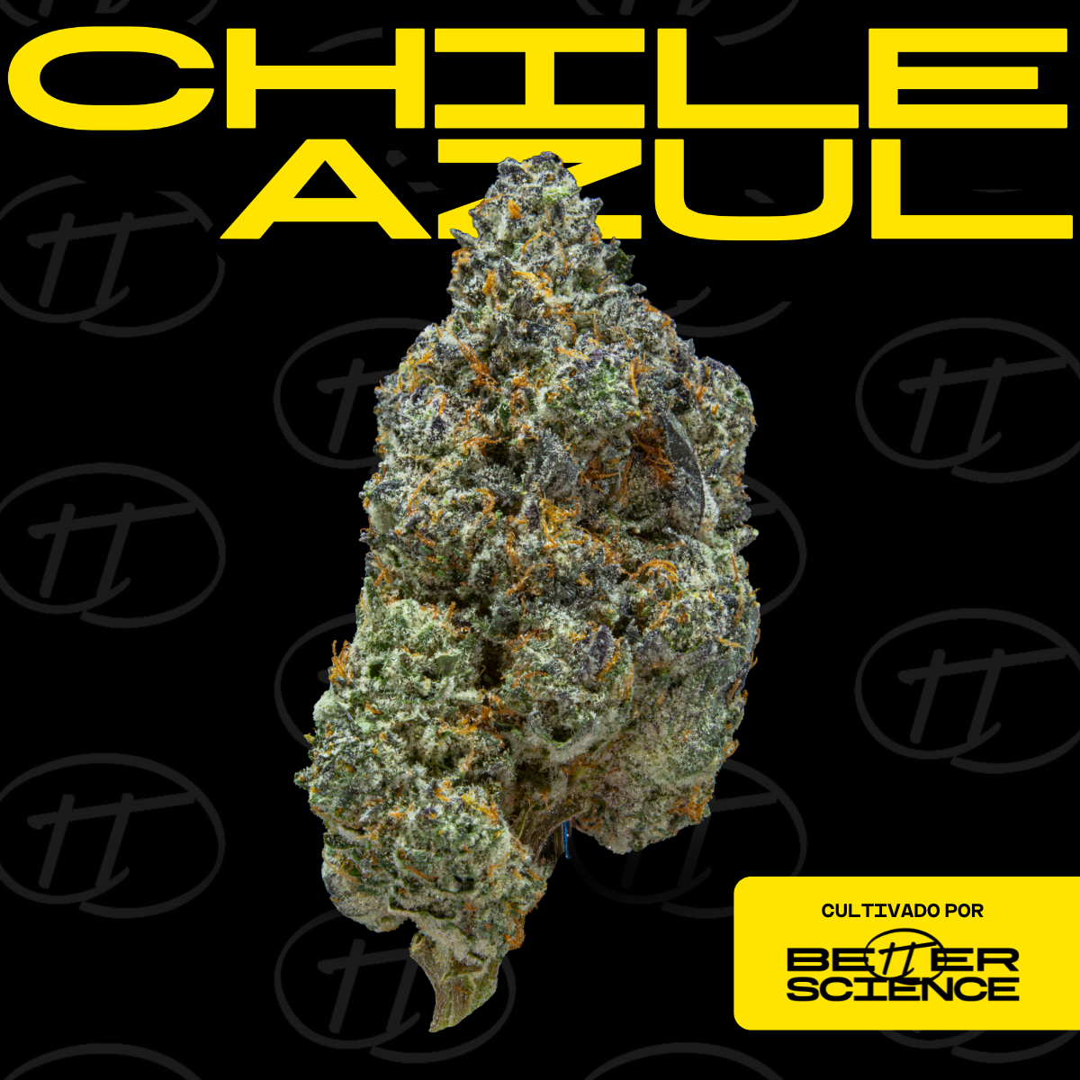 Chile Azul