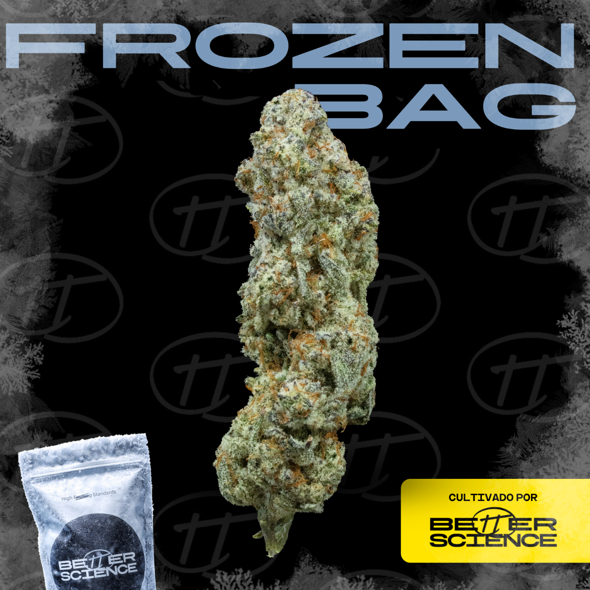 Frozen Bag