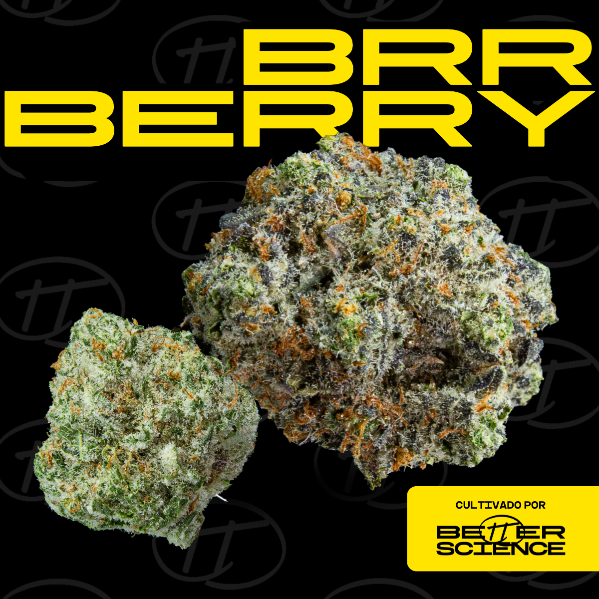 BrrBerry tiene un perfil relajante, aunque ligeramente balanceado. Con un perfil aromático dulce y floral, sus efectos suelen reducir la tensión mental y molestias físicas.