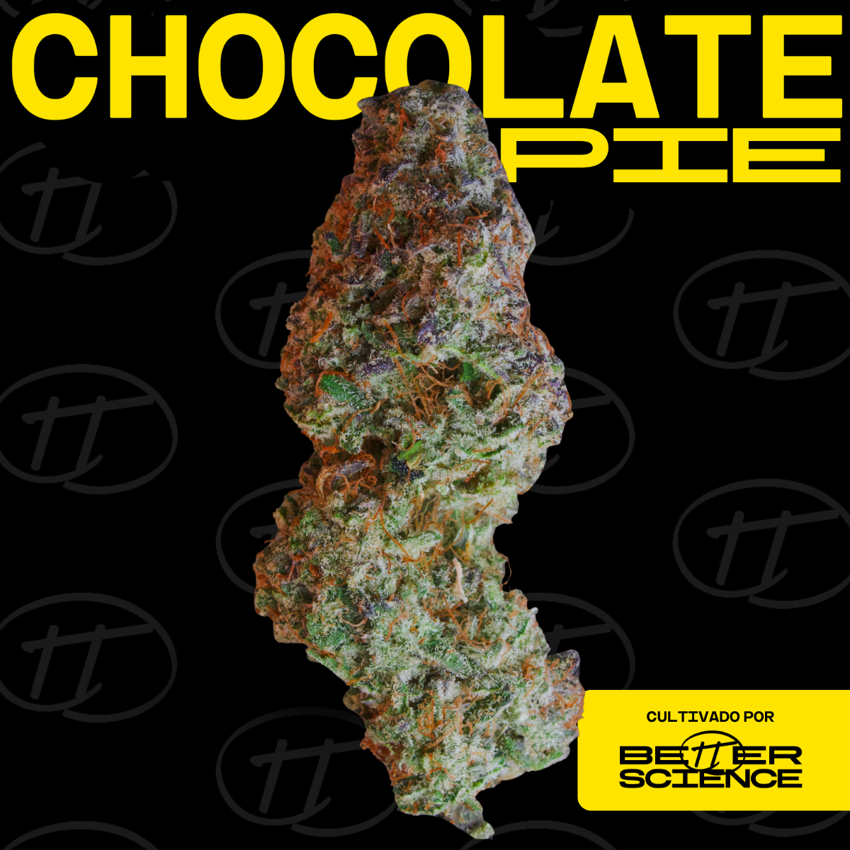 Chocolate Pie