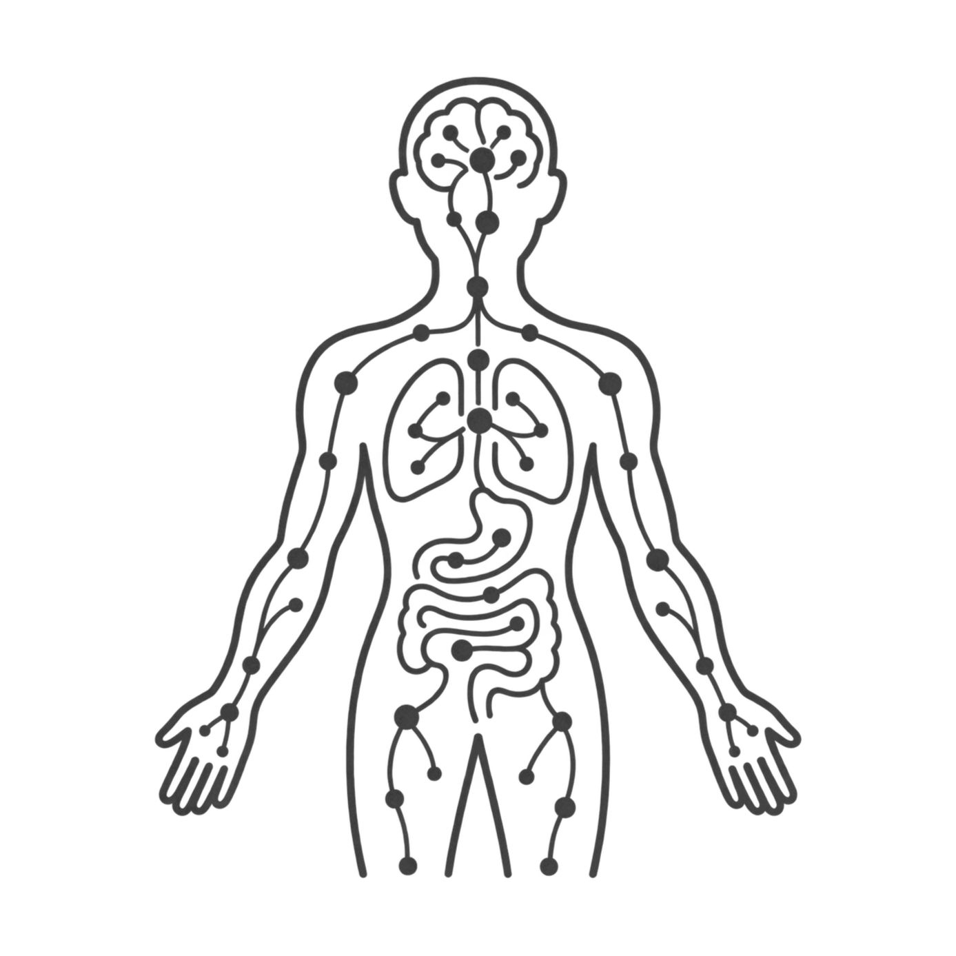 Diagrama del cuerpo humano con puntos que representan el sistema endocannabinoide