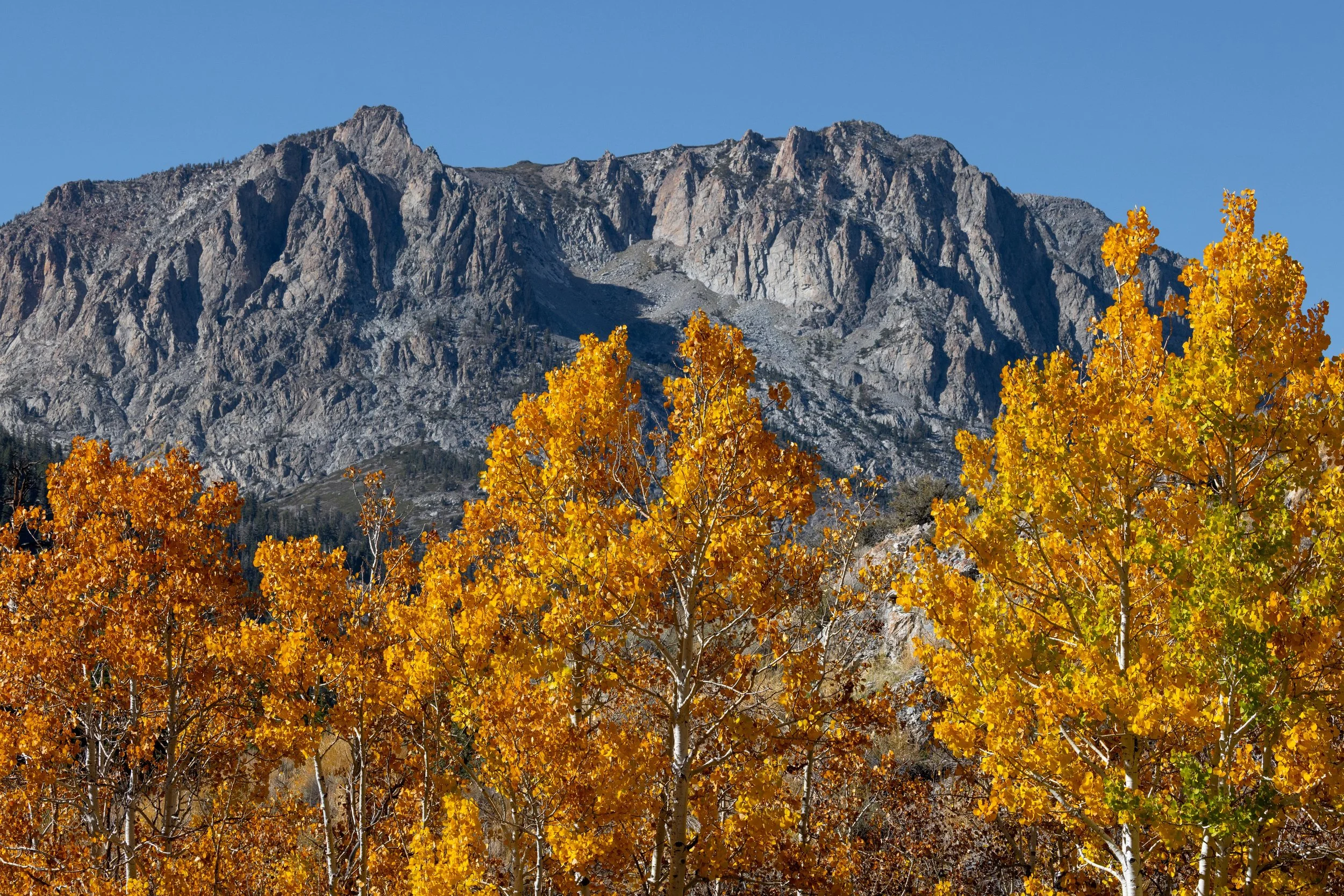 June-Lake-MTN-Peak-Website-1.jpeg