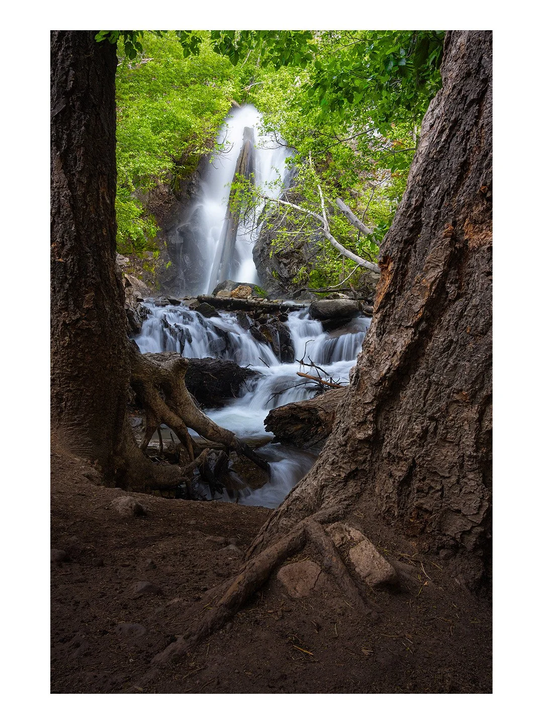 Insta-3x4-TT-Rivendell-Strolls.jpg