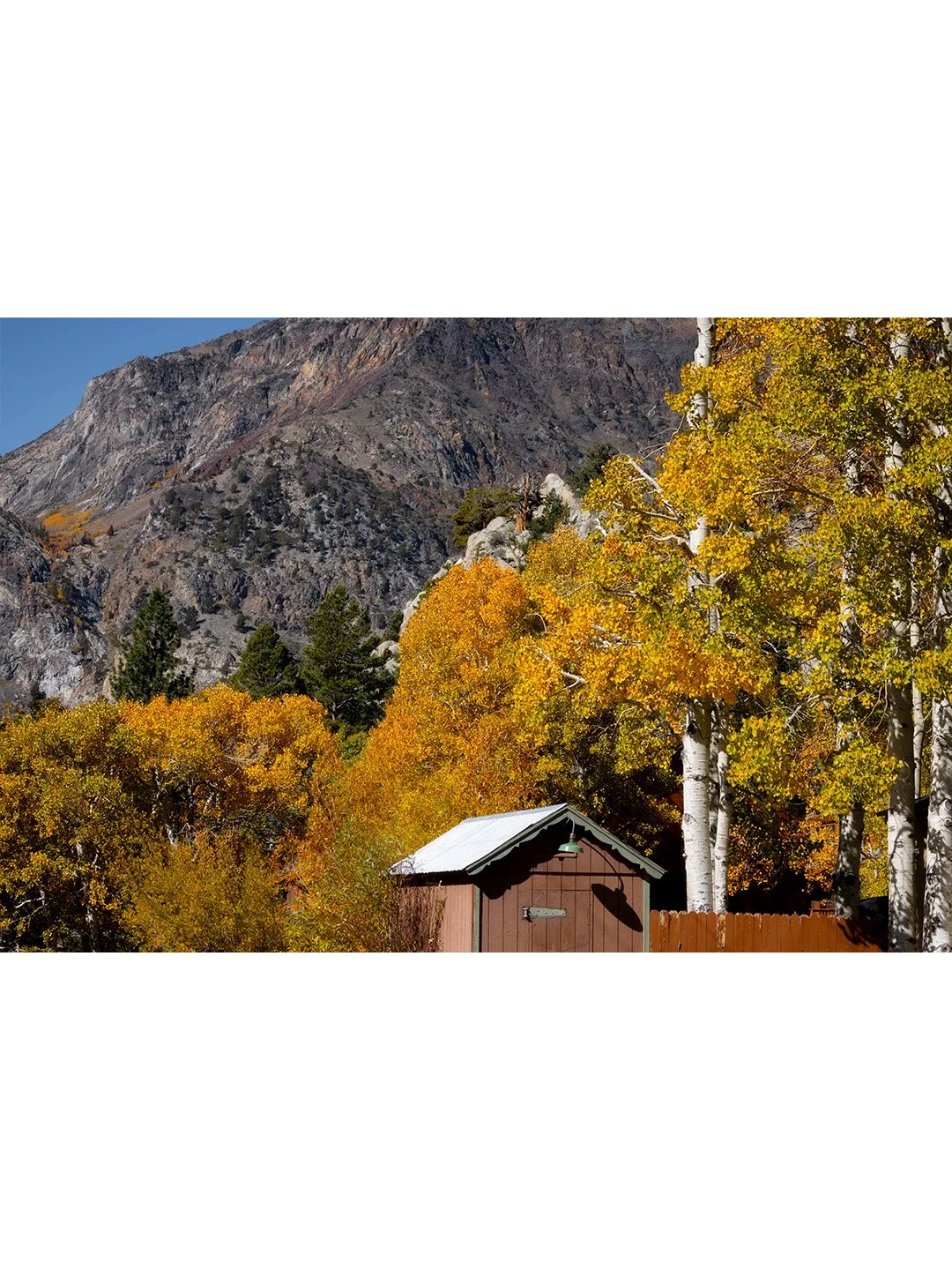 Insta-3x4-Scenes-Fall-Flash-Frame.jpg