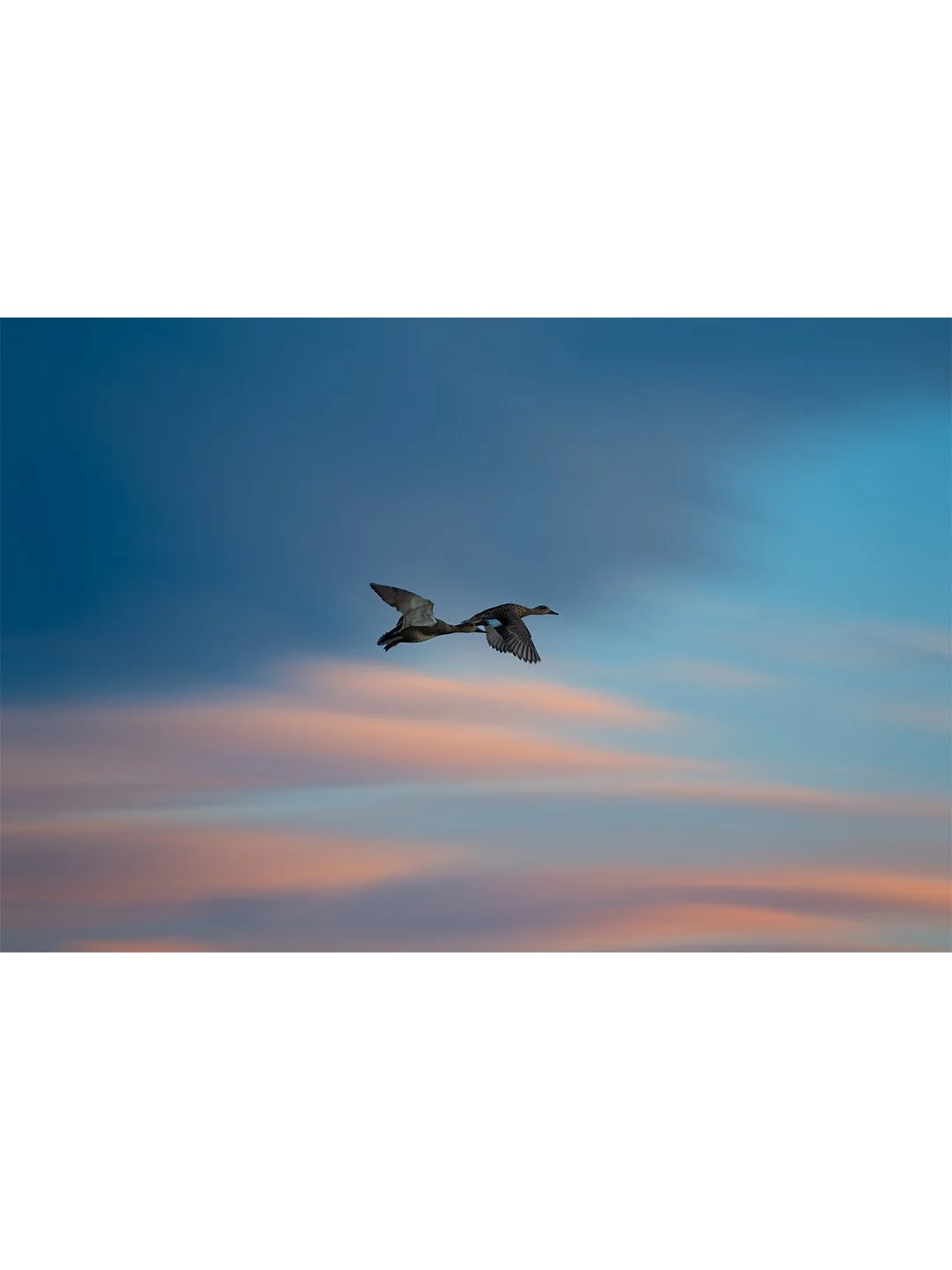 Insta-3x4-Scenes-Summer's-Hurryin'-Along.jpg