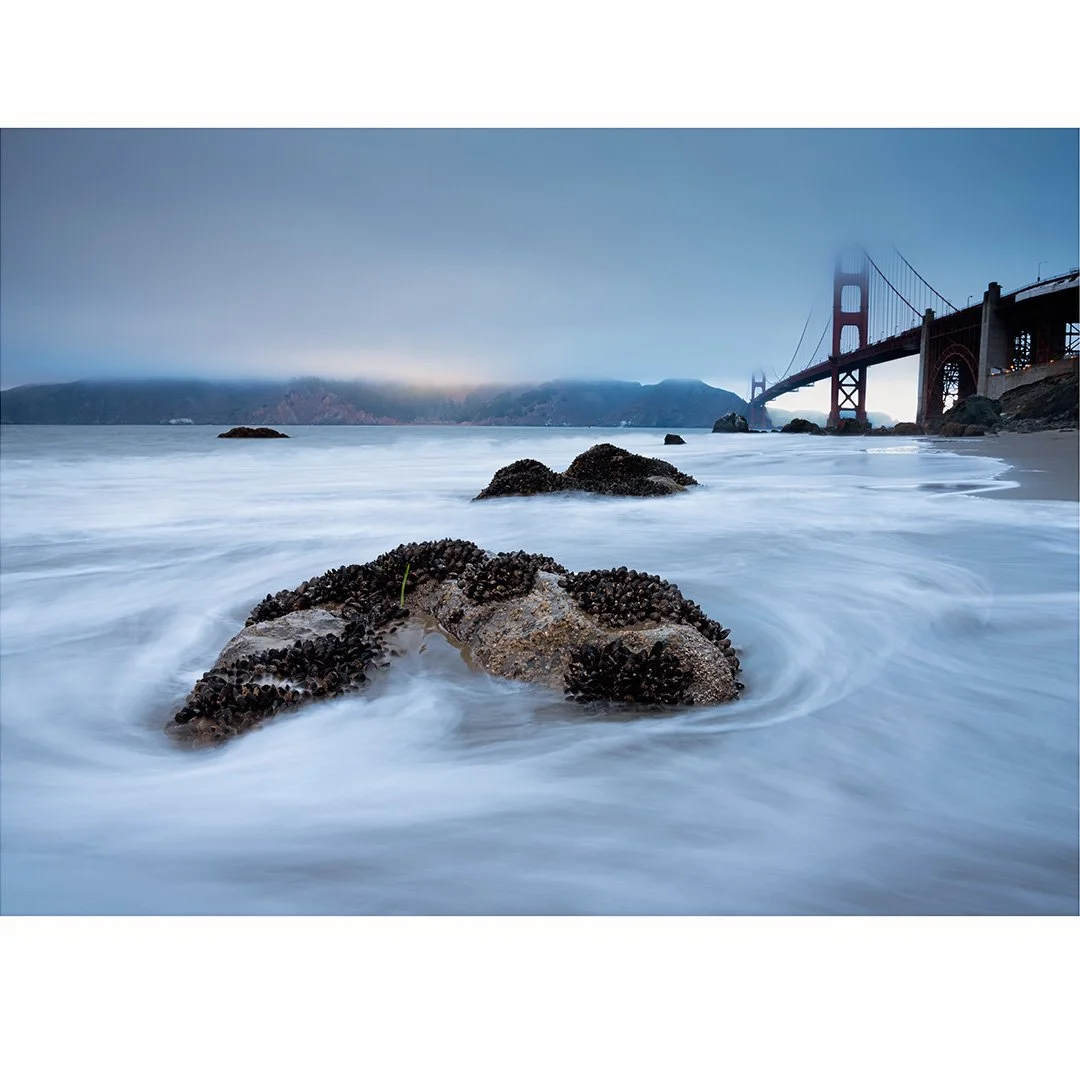 Riptide-Site-1.jpg