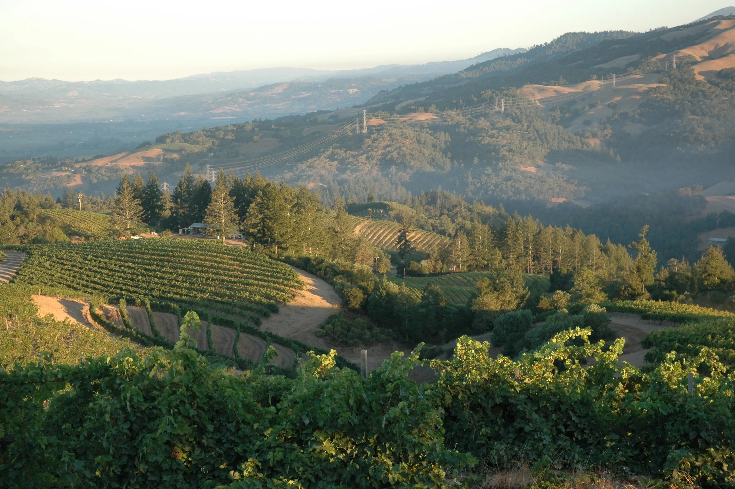 Rock Rise Vineyard - Foley Family Wines